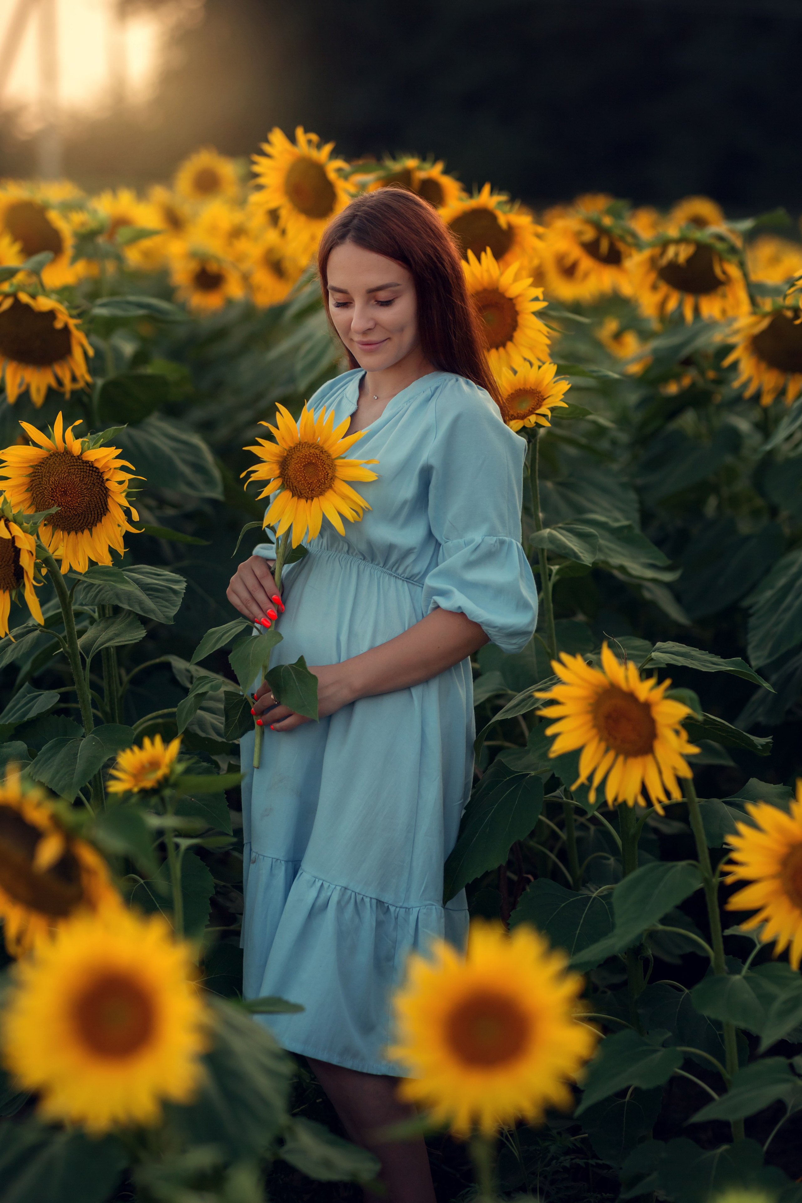 Подсолнухи. Семейный и детский фотограф Екатерина Савёлова