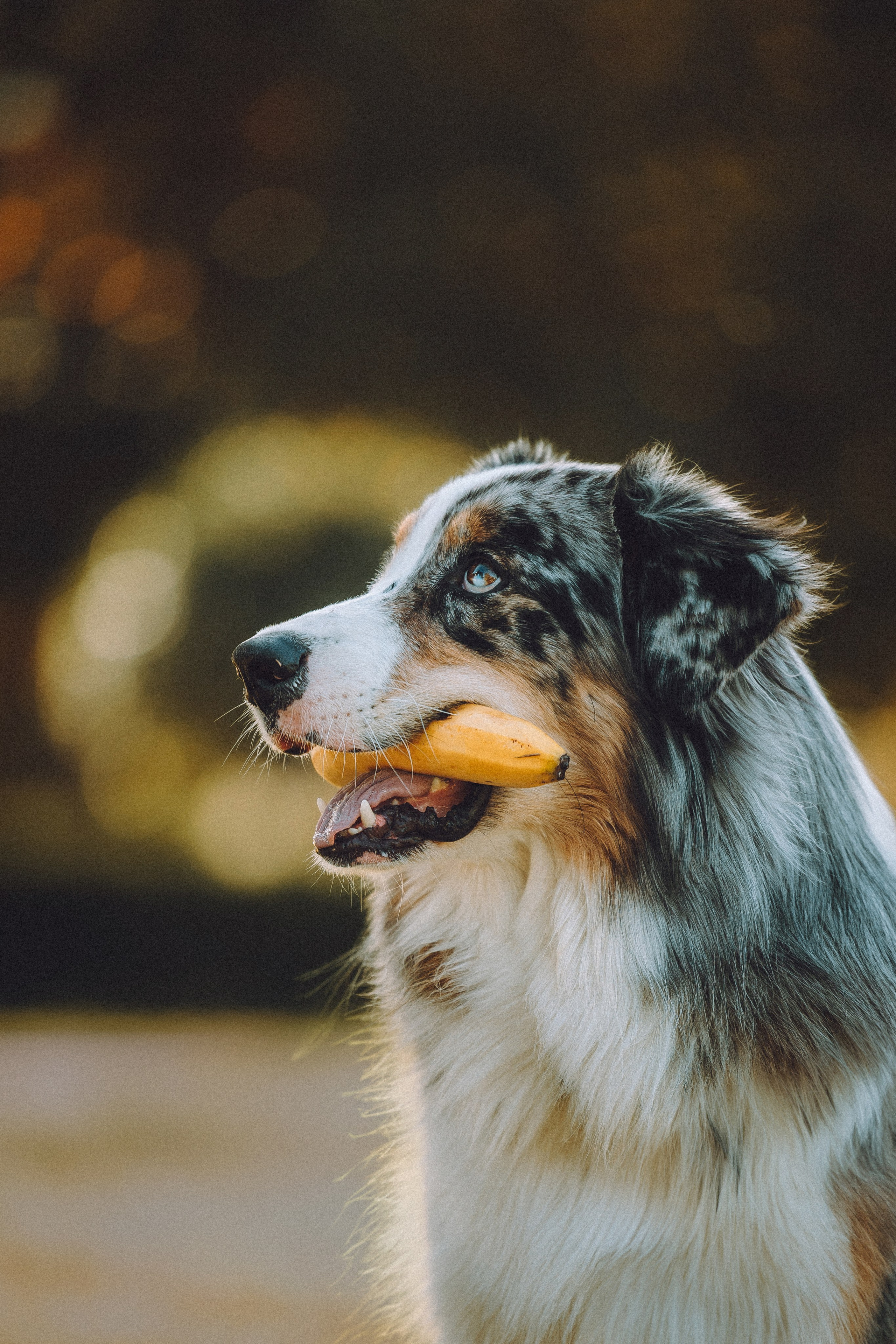 Саша, Рома и Один