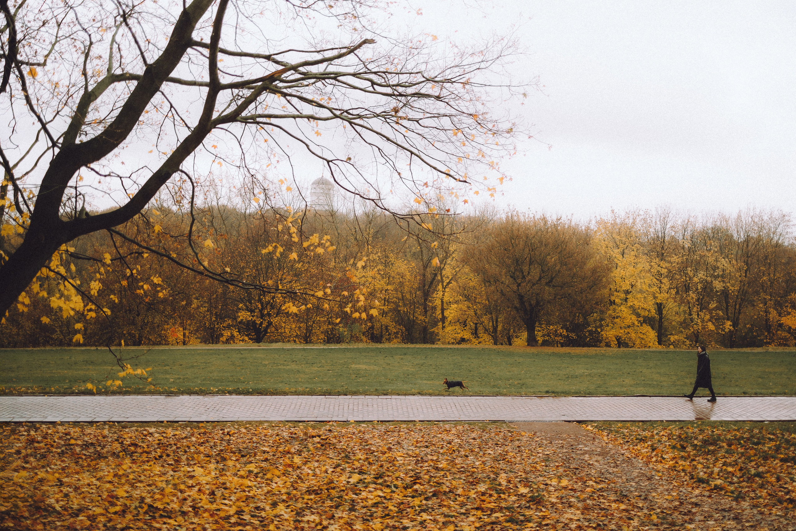 Даша и Биби