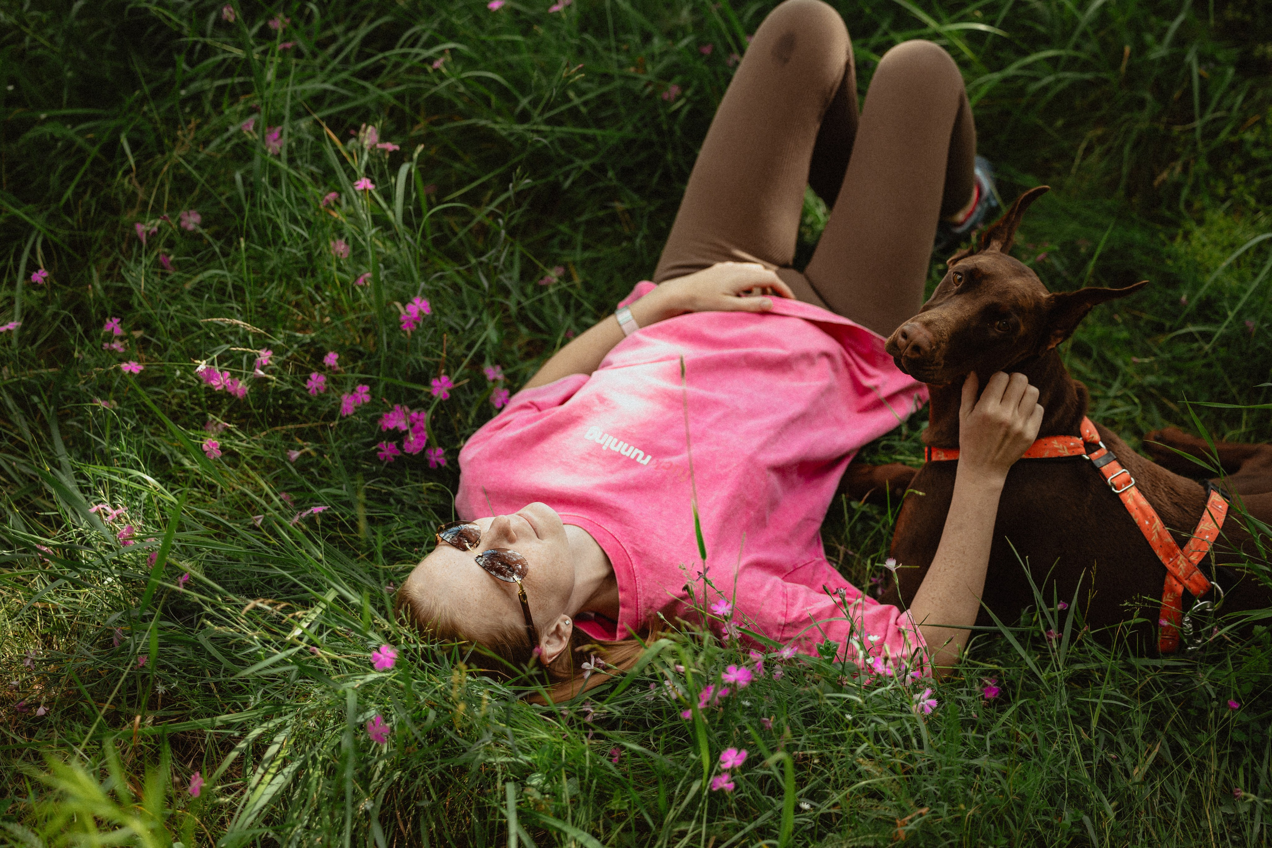 Выездной дог-тренинг от школы «Шерсть имею»