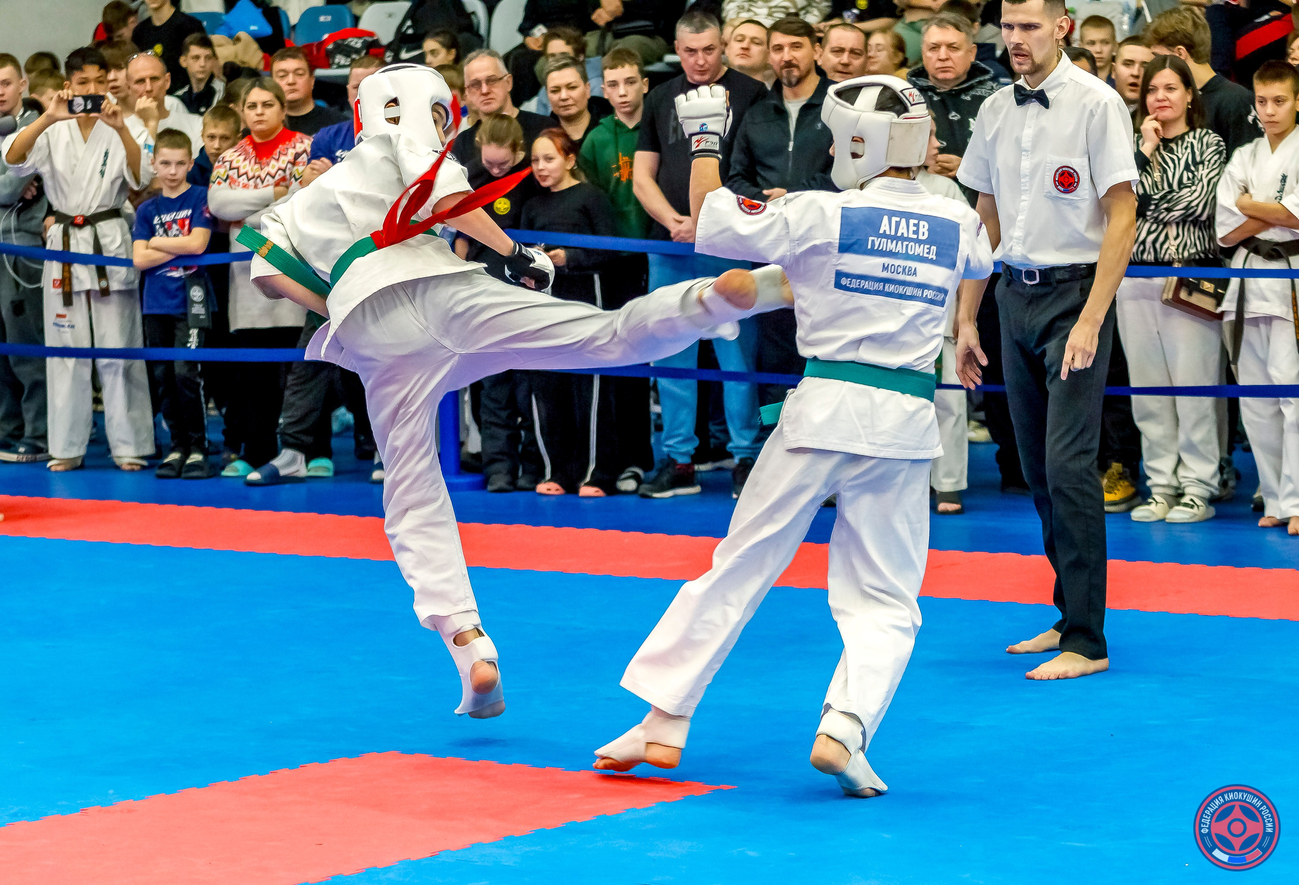 Международный турнир по киокушин «Открытый кубок Seiken». Репортажная съемка в Москве и области. Анималистика