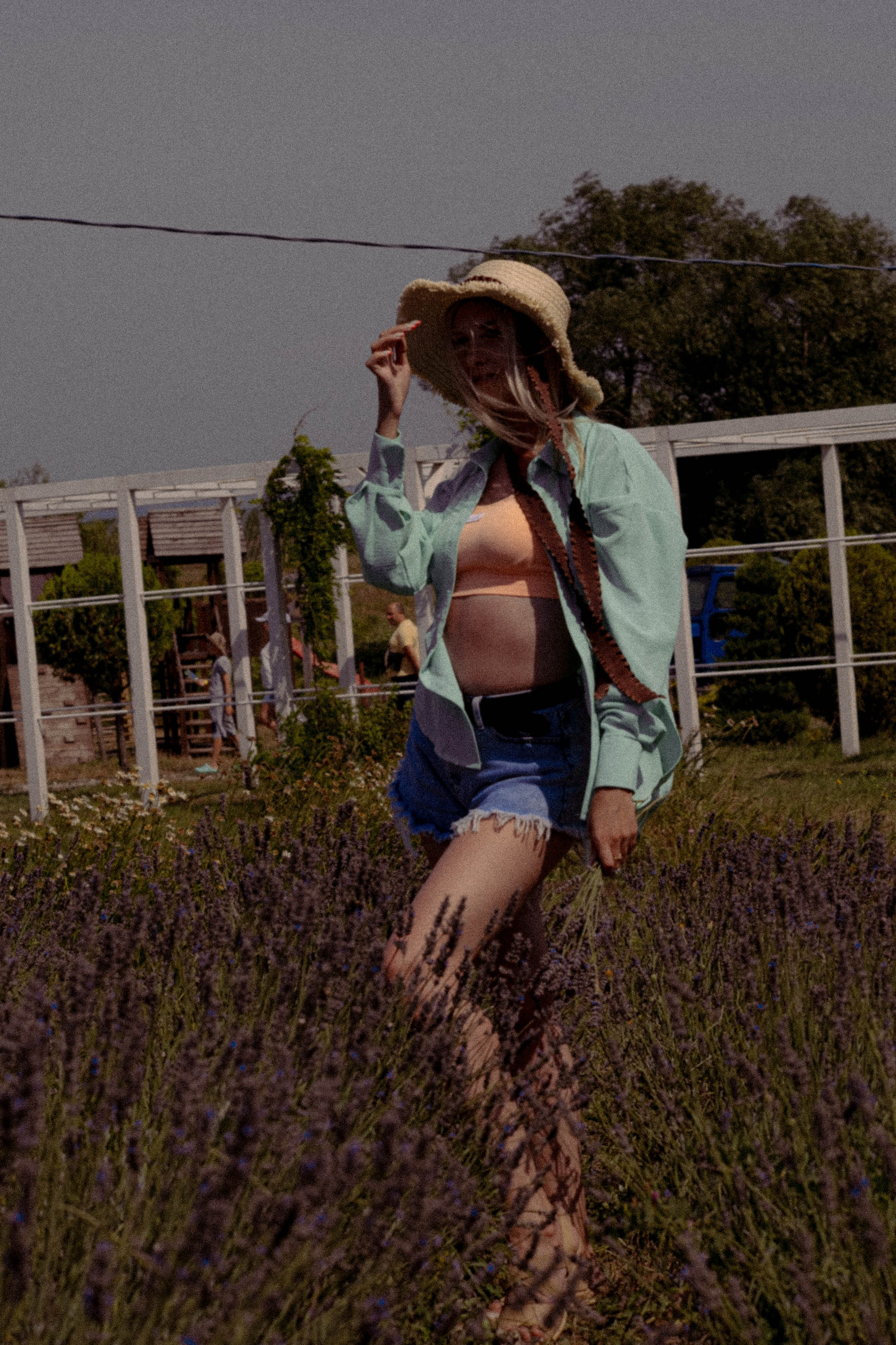 ЛАВАНВОДОВОЕ ПОЛЕ. Профессиональный фотограф, Санкт-Петербург — Виктория Богомолова