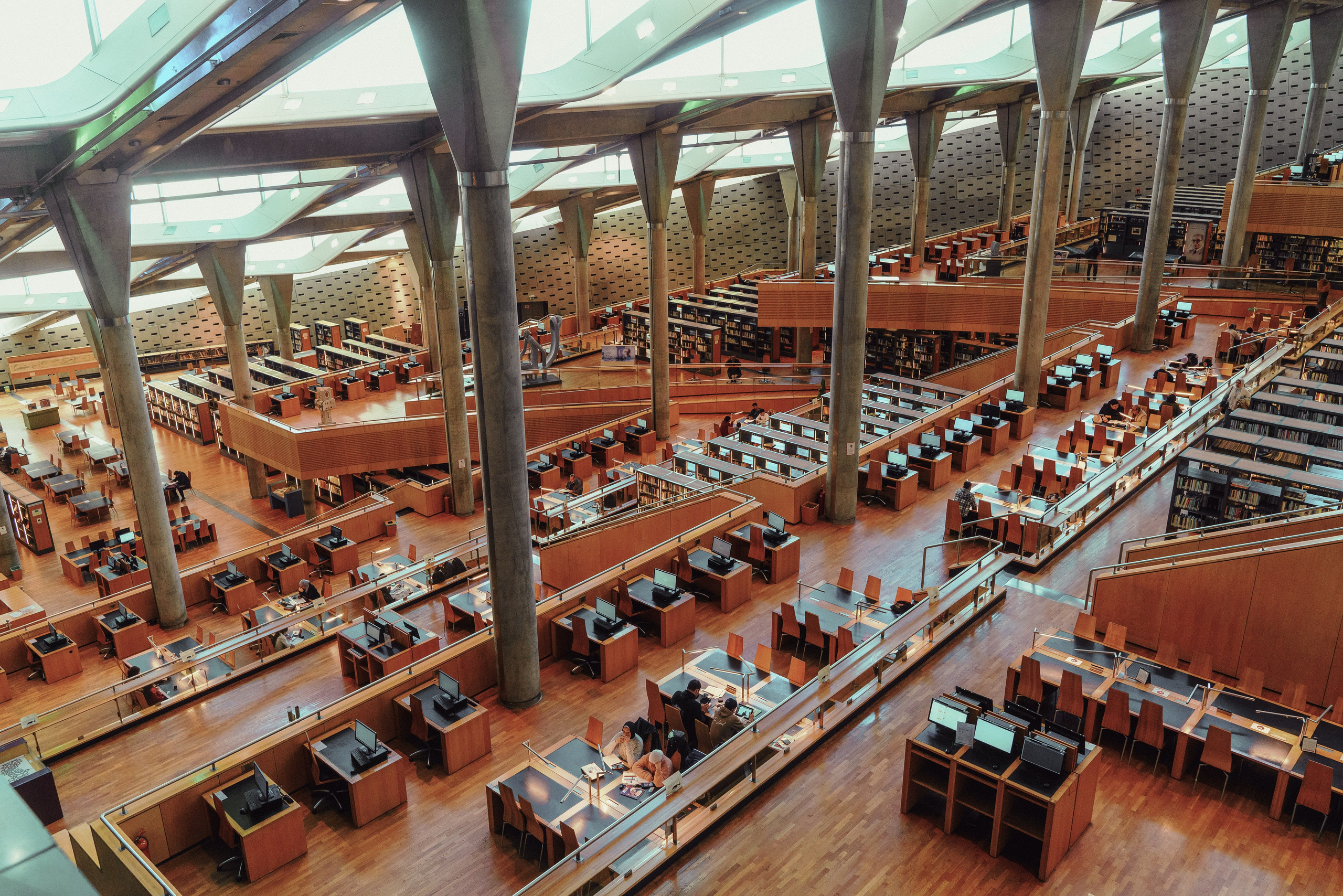 Египет. Фотографии Дмитрия Захаренко