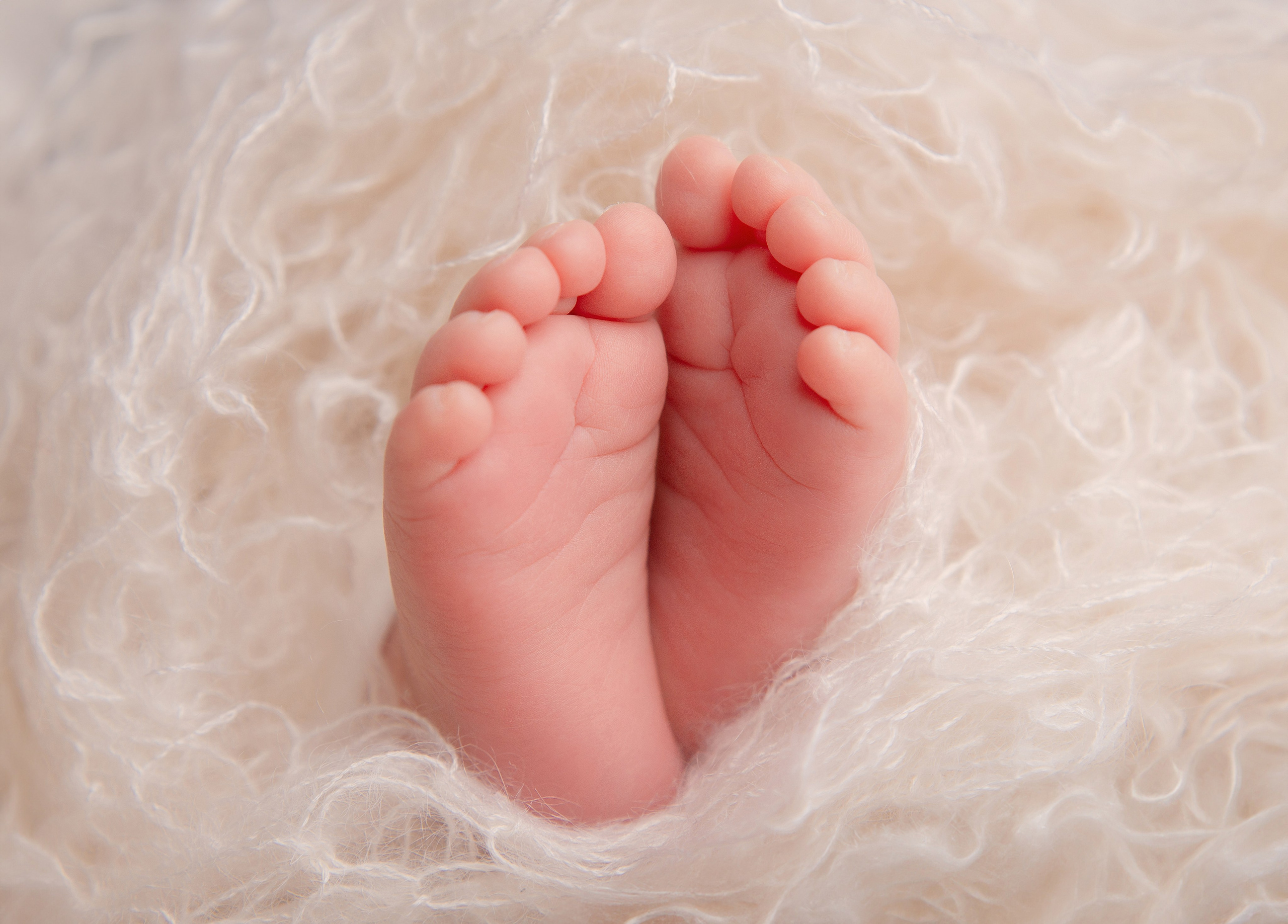 Новорожденные. Детский фотограф в Няндоме Ариана Арсеньева