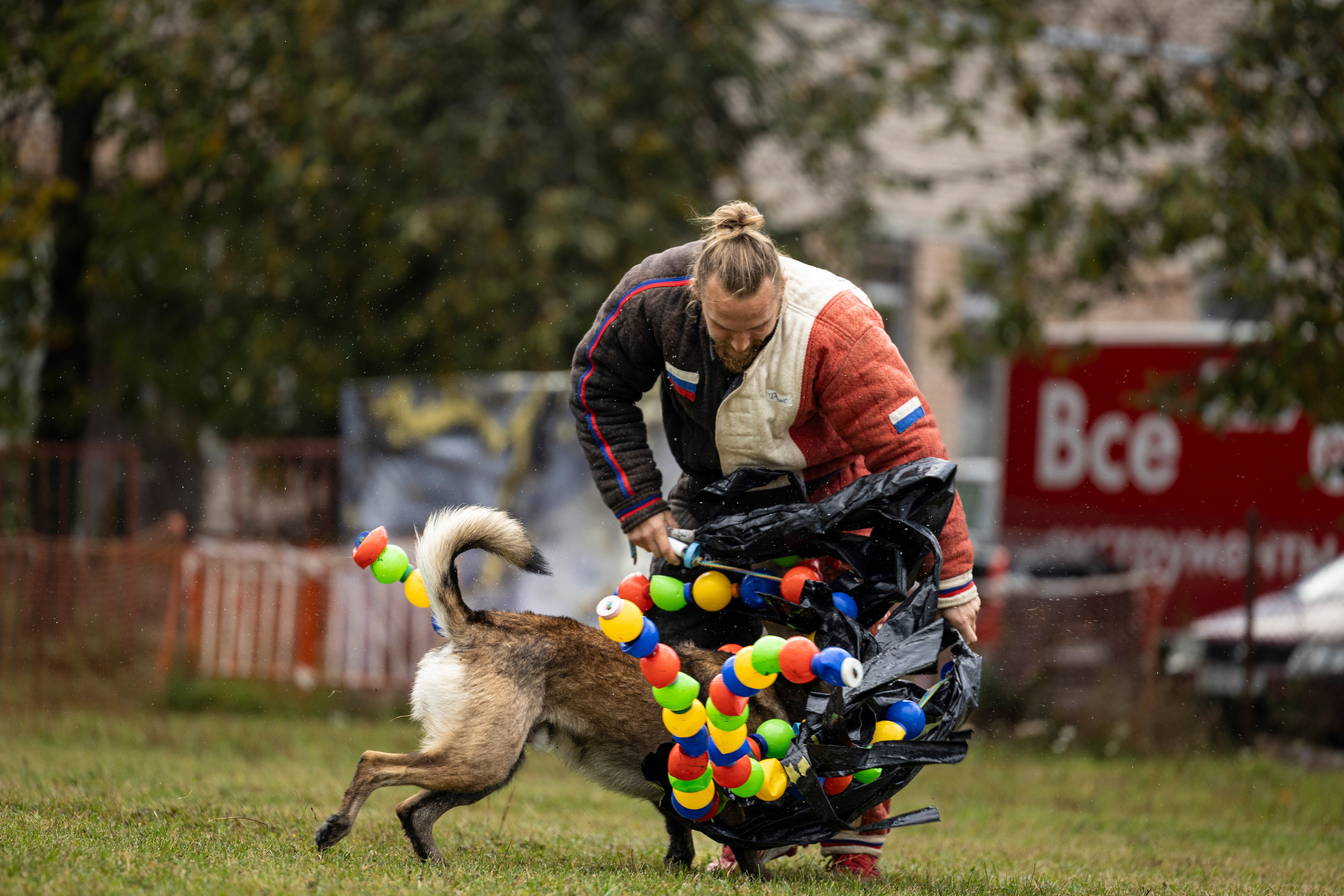 Испытания по Мондьорингу г. Пушкин. Фотограф-анималист Анна Маринич