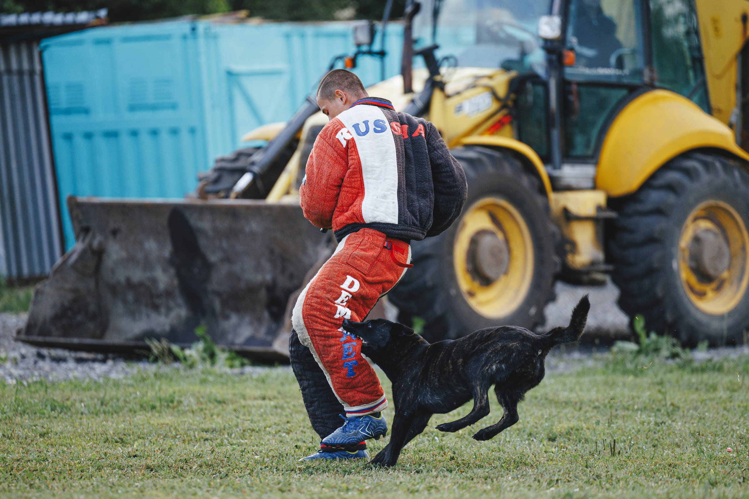08.08.25-10.08.25 ЧР по мондьорингу г. Вологда. Фотограф-анималист Анна Маринич
