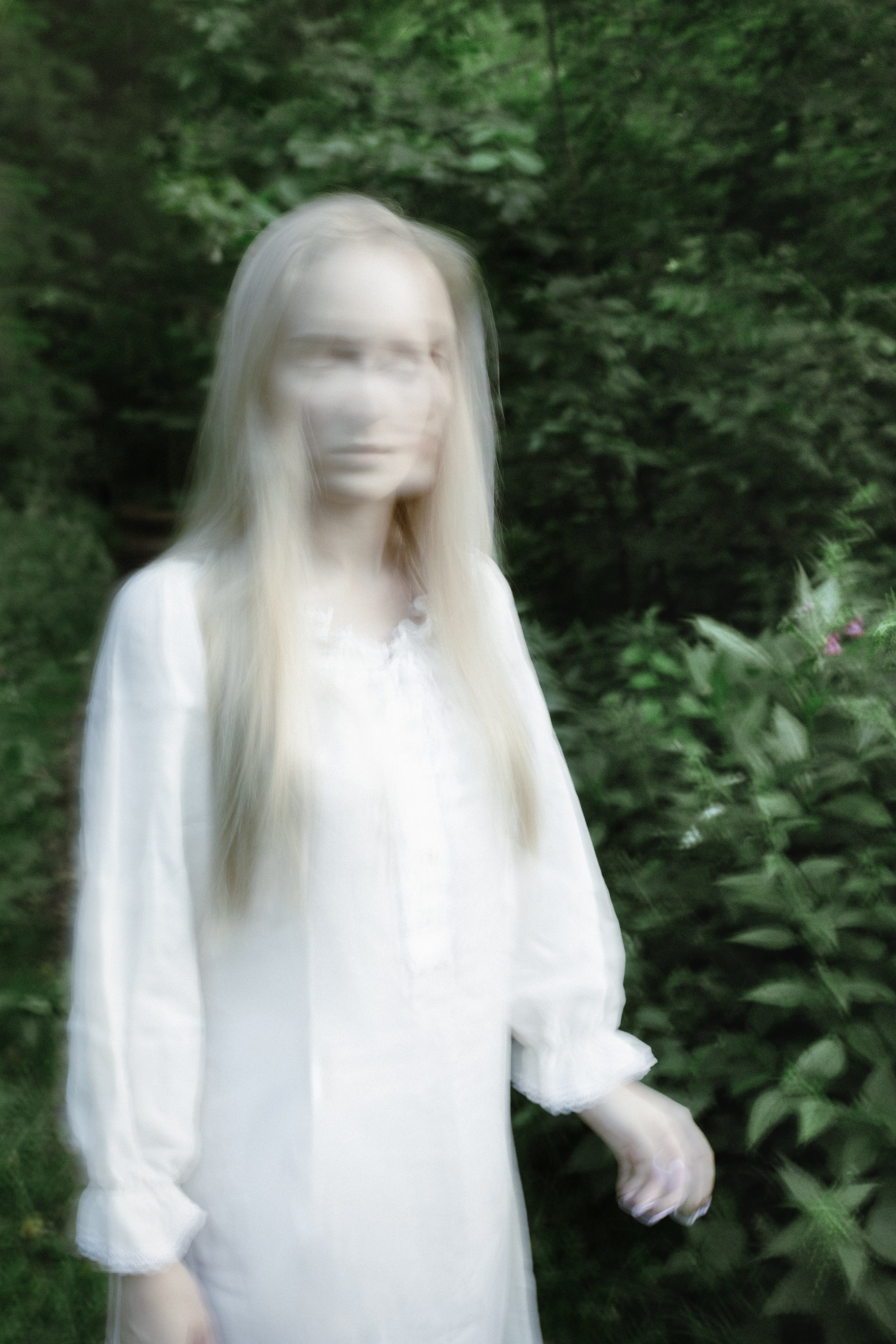 Woodland. Фото-художник