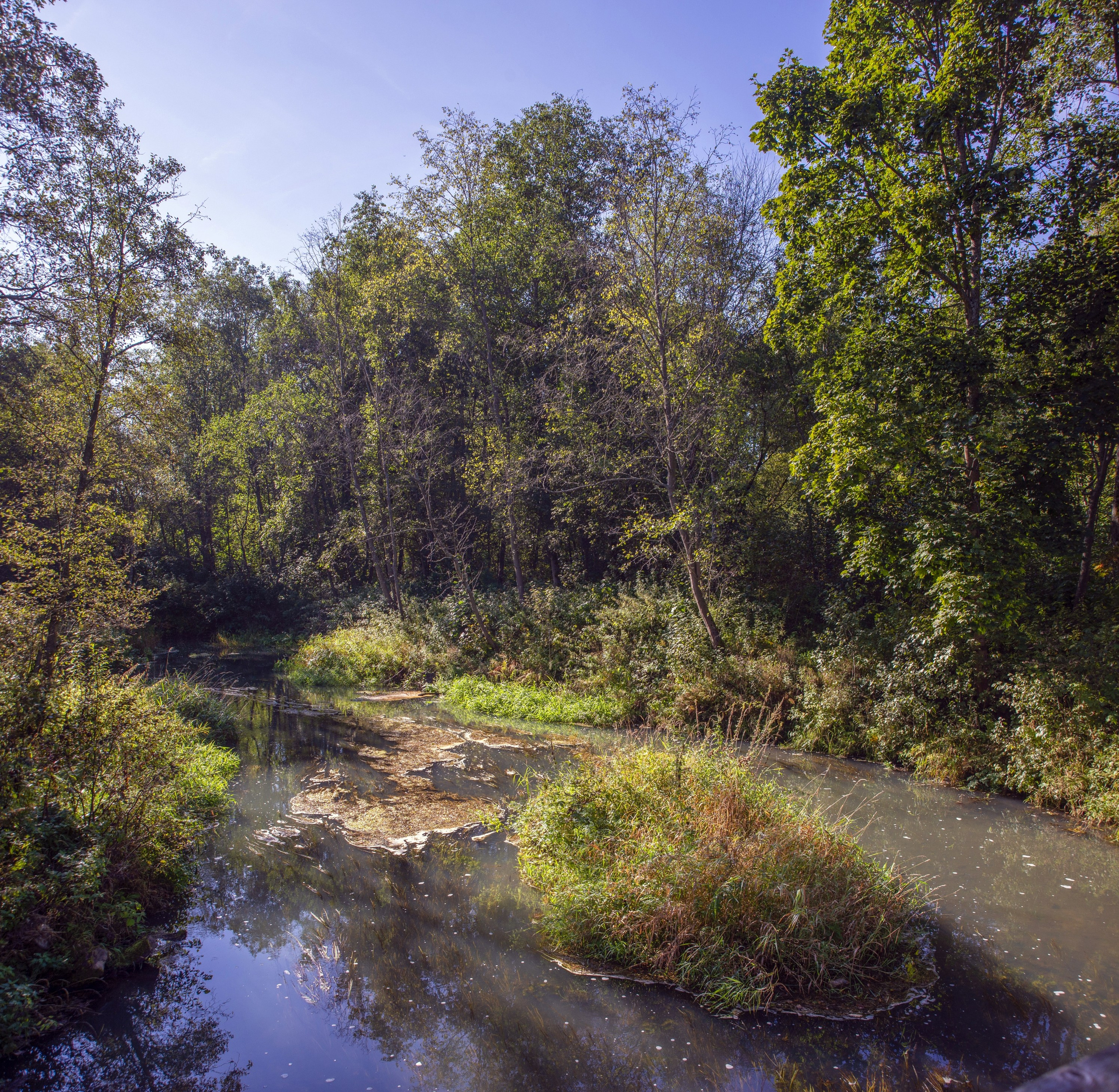 Абрамцево. Сентябрь 2023. Игорь Жучков. Россия увиденная глазами путешествующего фотографа