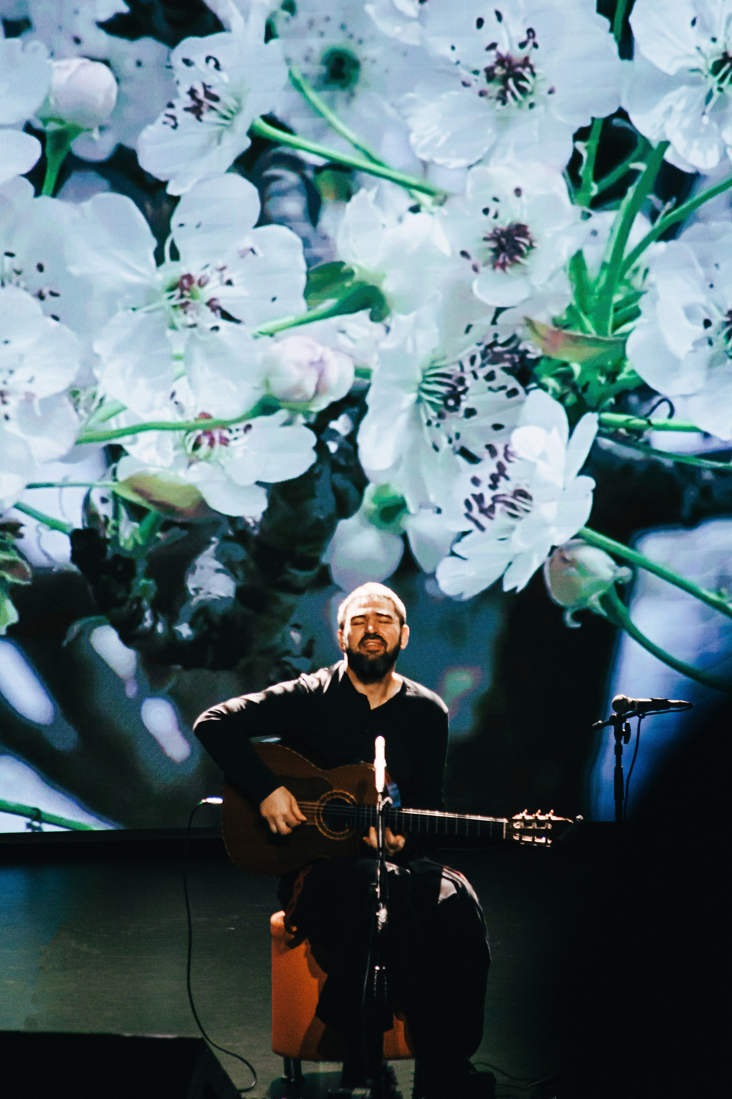 Концерт Виталий Будяк / Челябинск 15.11.24. Фотограф в Челябинске Ополихина Анна
