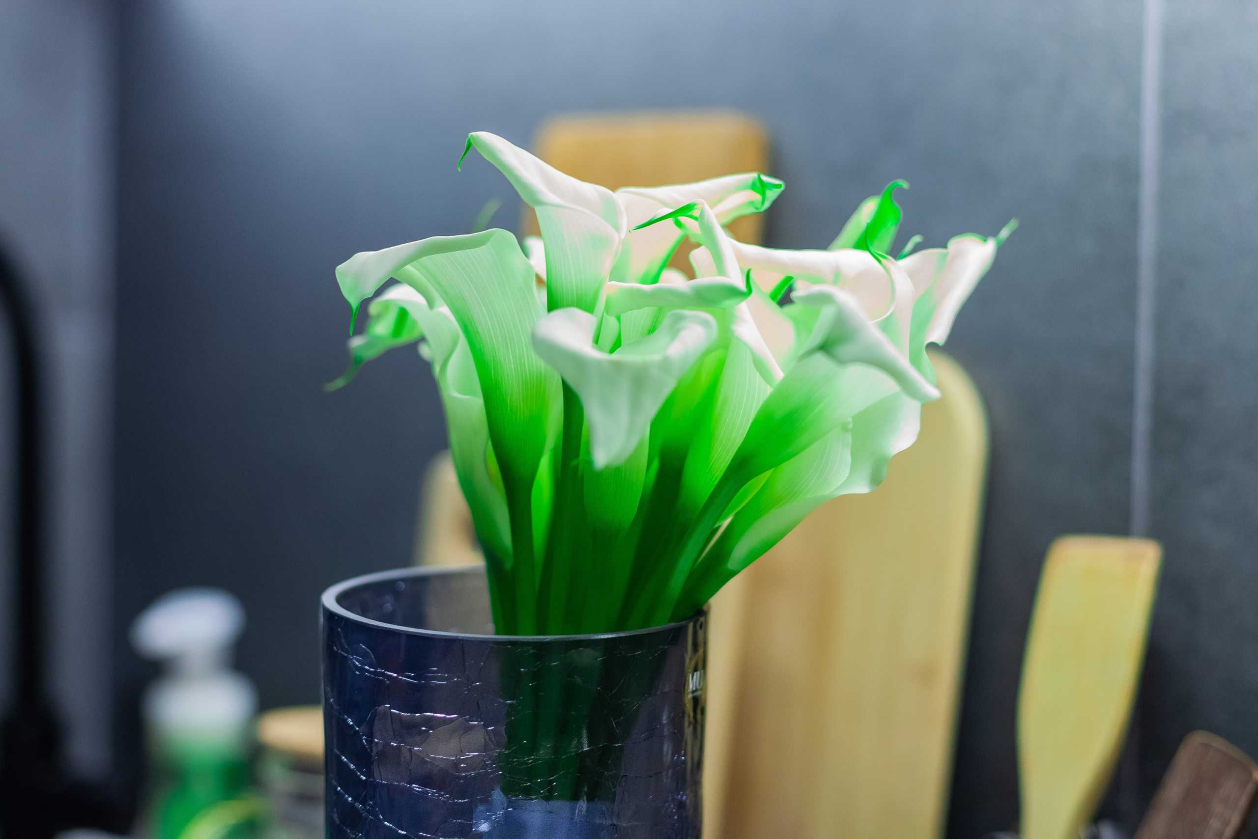 1-12-2023. Главная