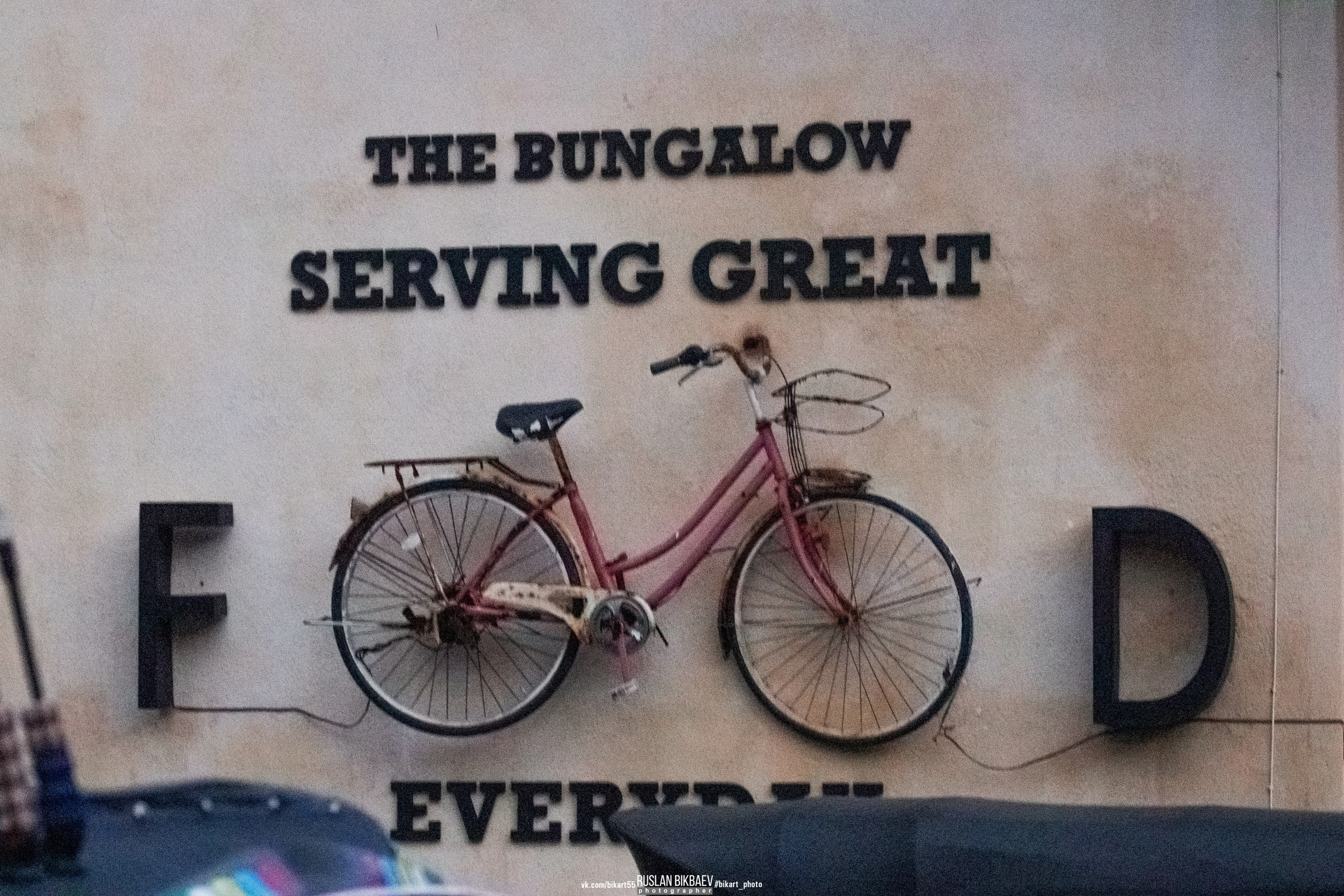 ШРИ-ЛАНКА 2025 / SRI LANKA 2025. Главная