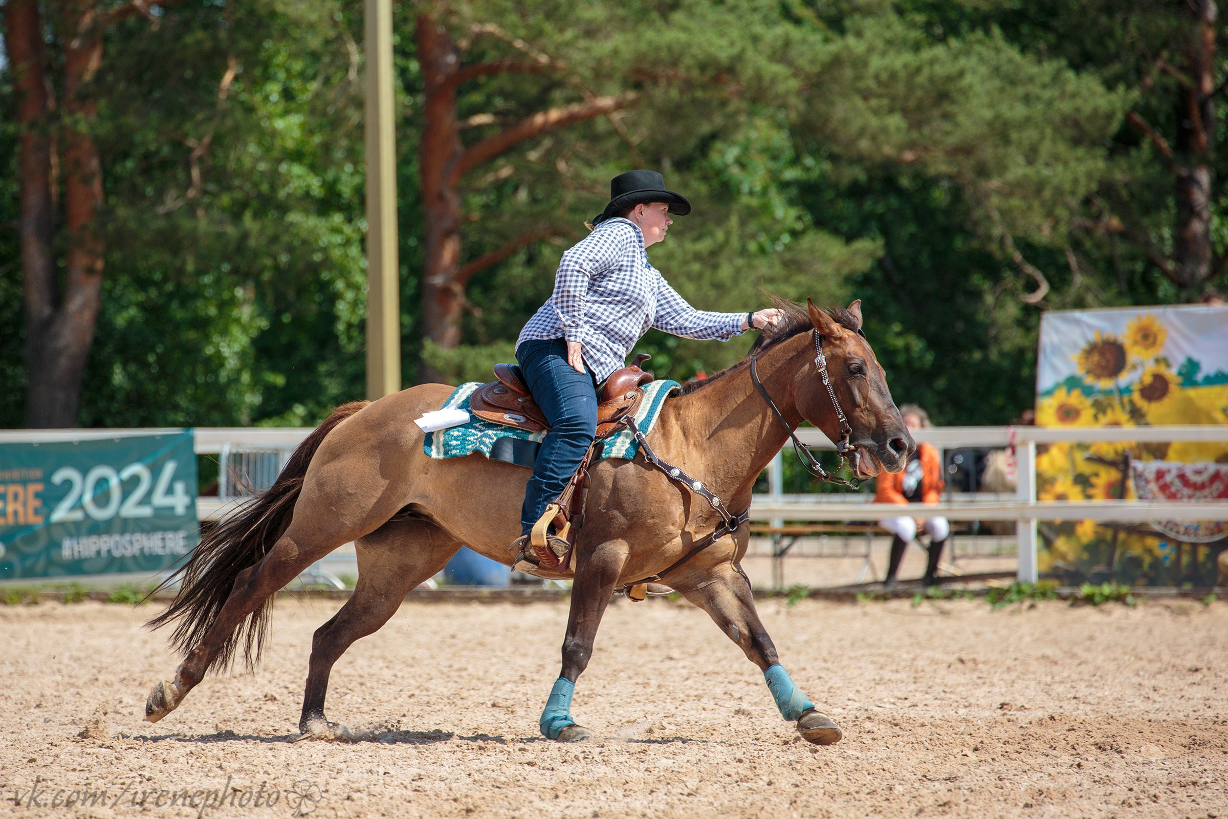 Иппосфера 2024. Irenephoto.ru