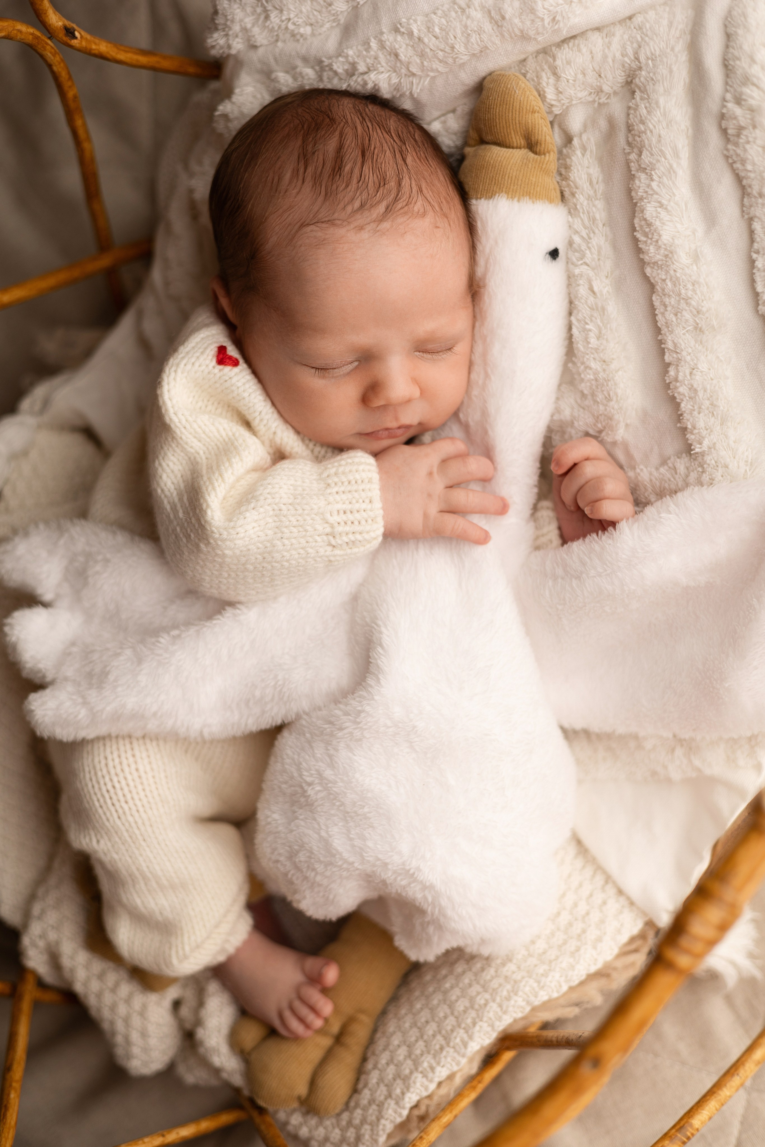 Матвей. Лилия Алтухова — фотограф новорожденных в Москве и области