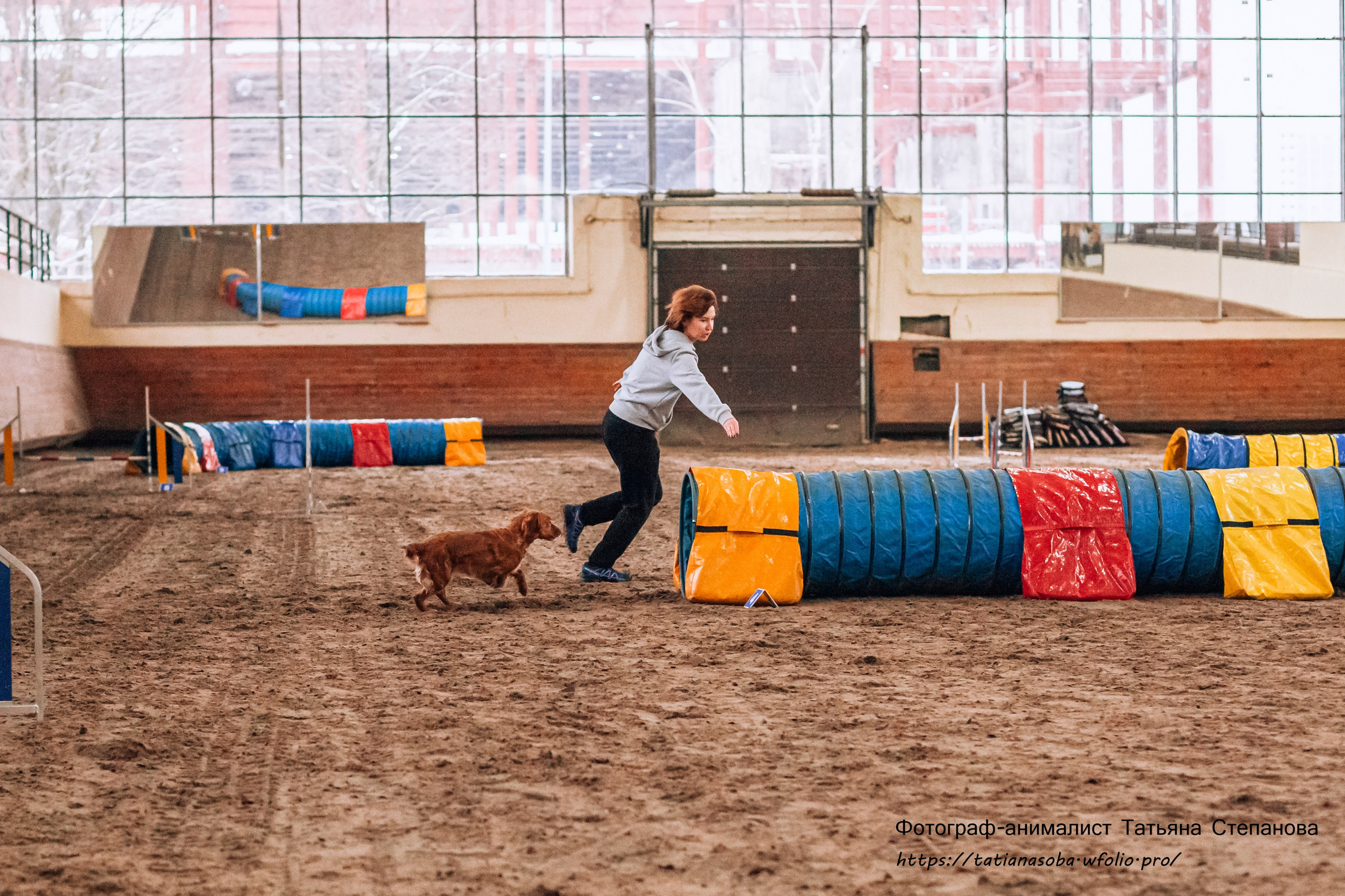 Соревнования по Аджилити 25.02.2024. Фотограф-анималист Татьяна Степанова