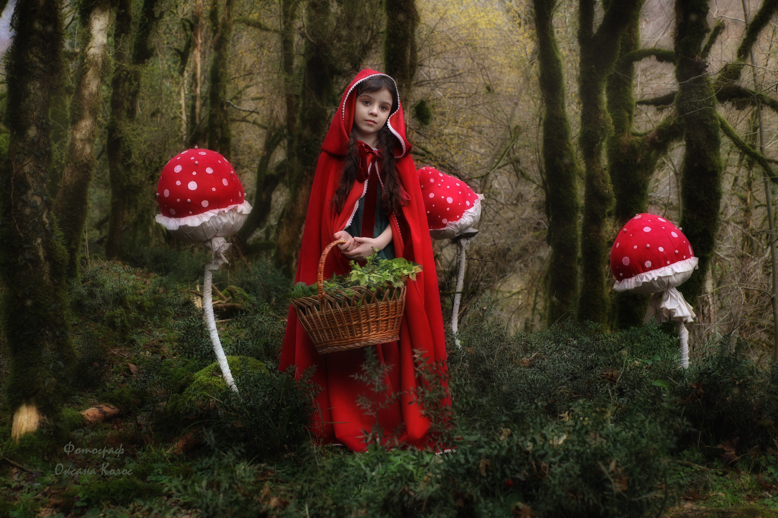 Семейный детский фотограф Краснодарский край Оксана Колос