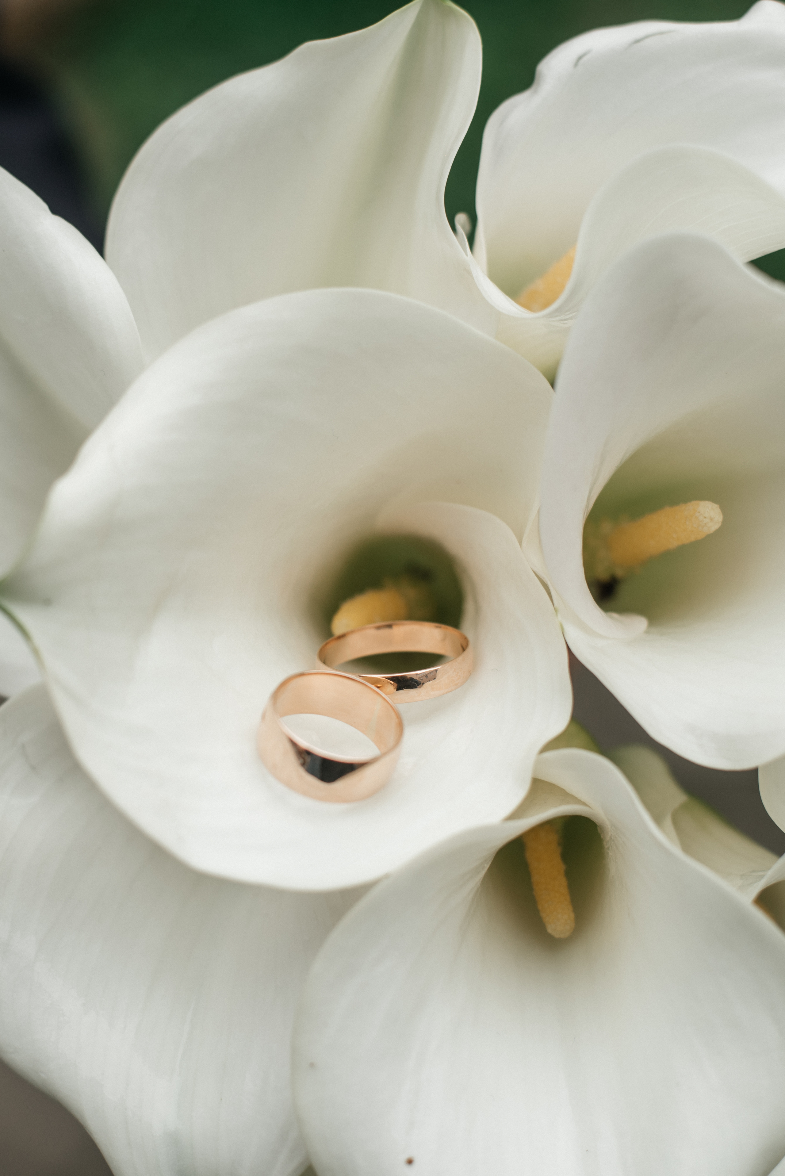 Женя+Даша. Костюшко Кристина — семейный и свадебный фотограф в Минске