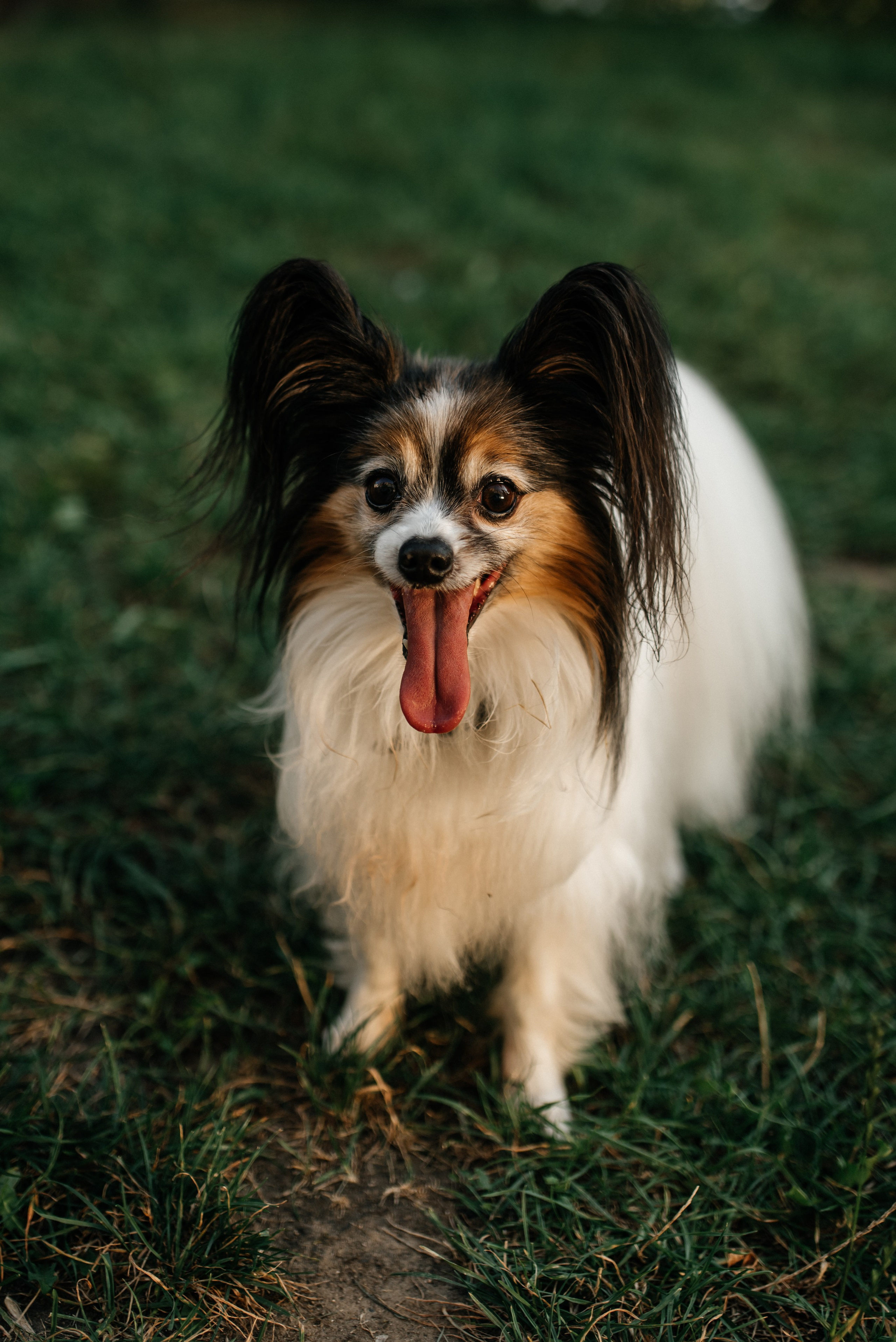 Ирина. Костюшко Кристина — семейный и свадебный фотограф в Минске