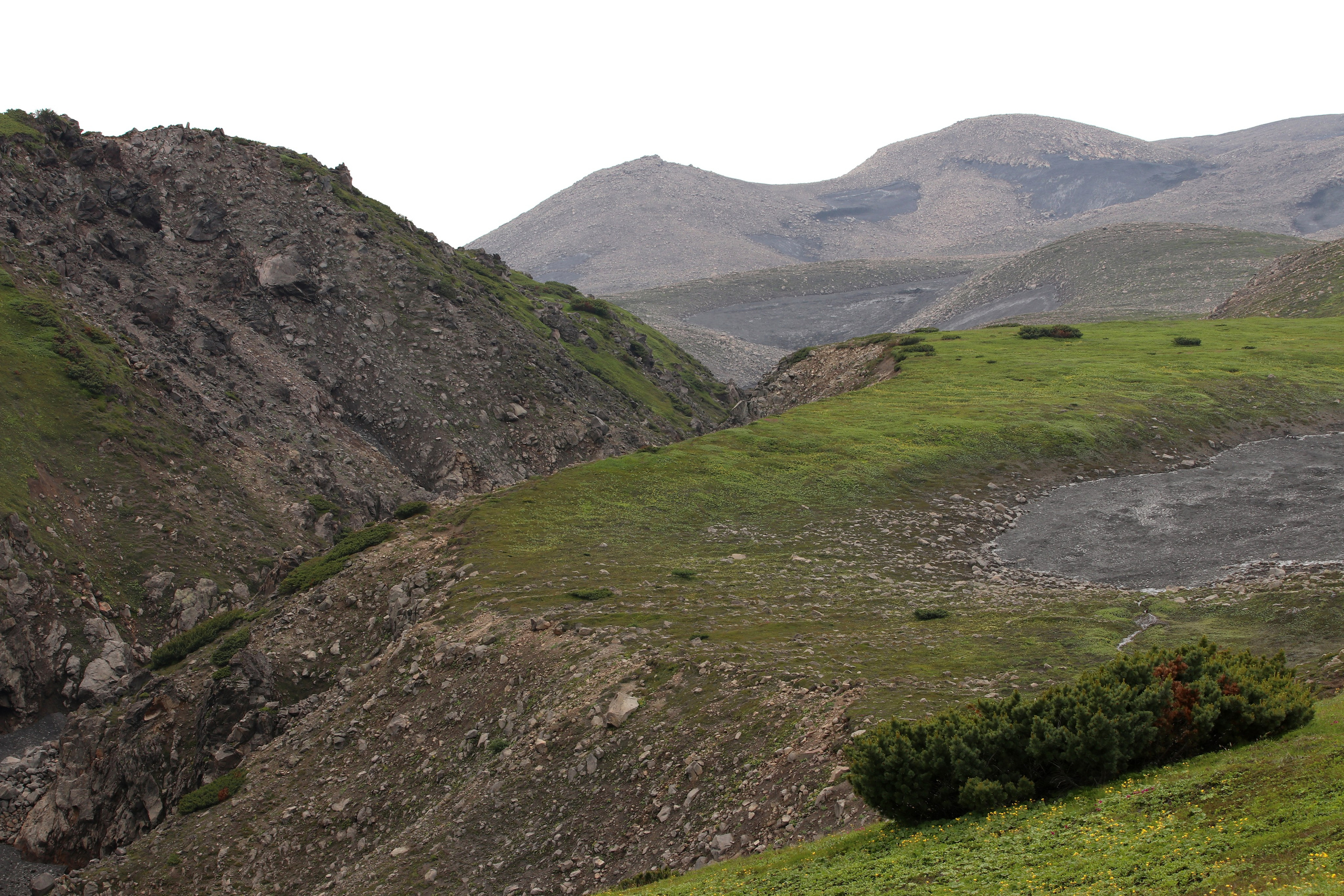 Камчатка и о. Парамушир. Июль 2024. Путешественник-фотограф из Санкт-Петербурга Татьяна Свистулина