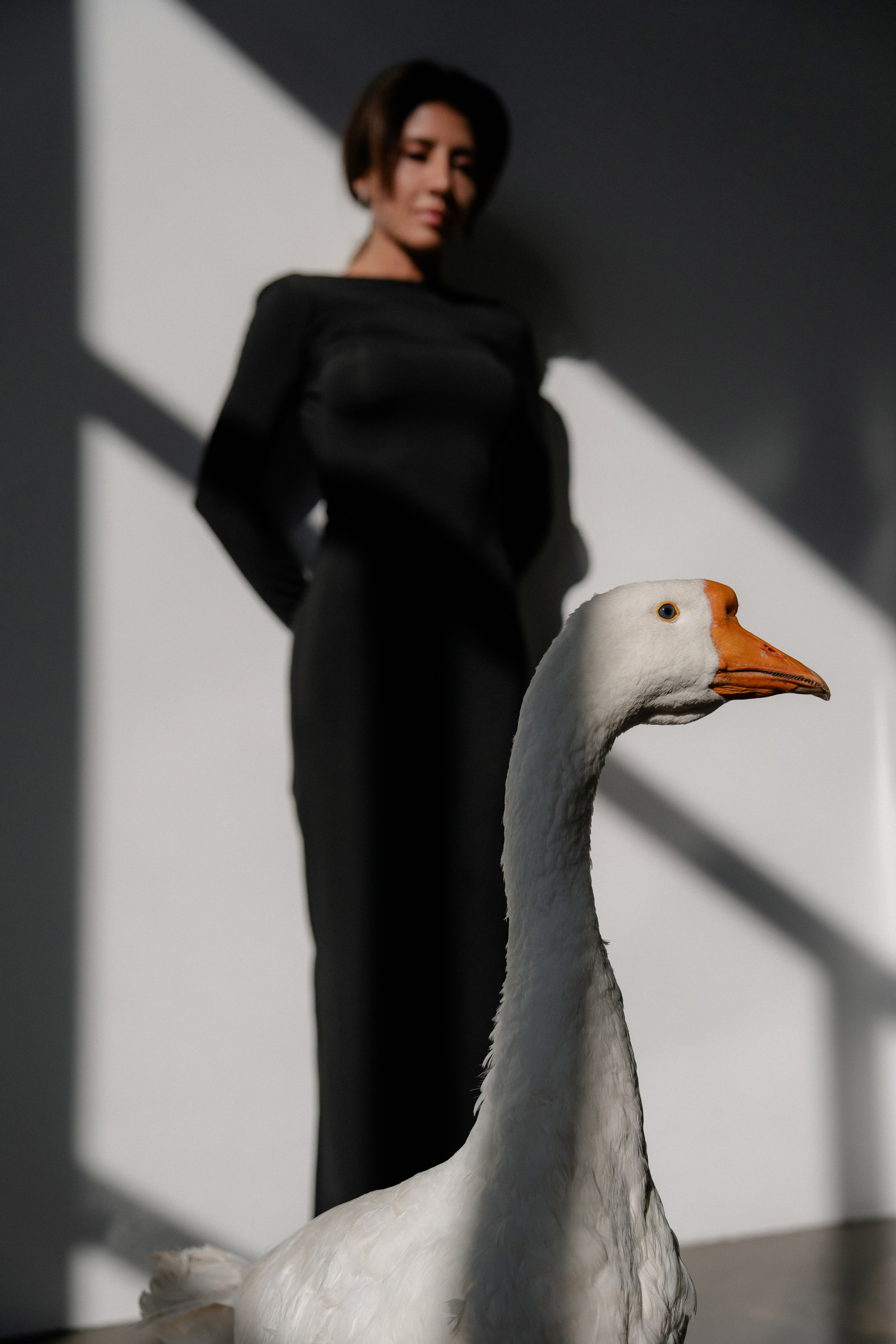 Юля и Гусь. Фотограф на мероприятие