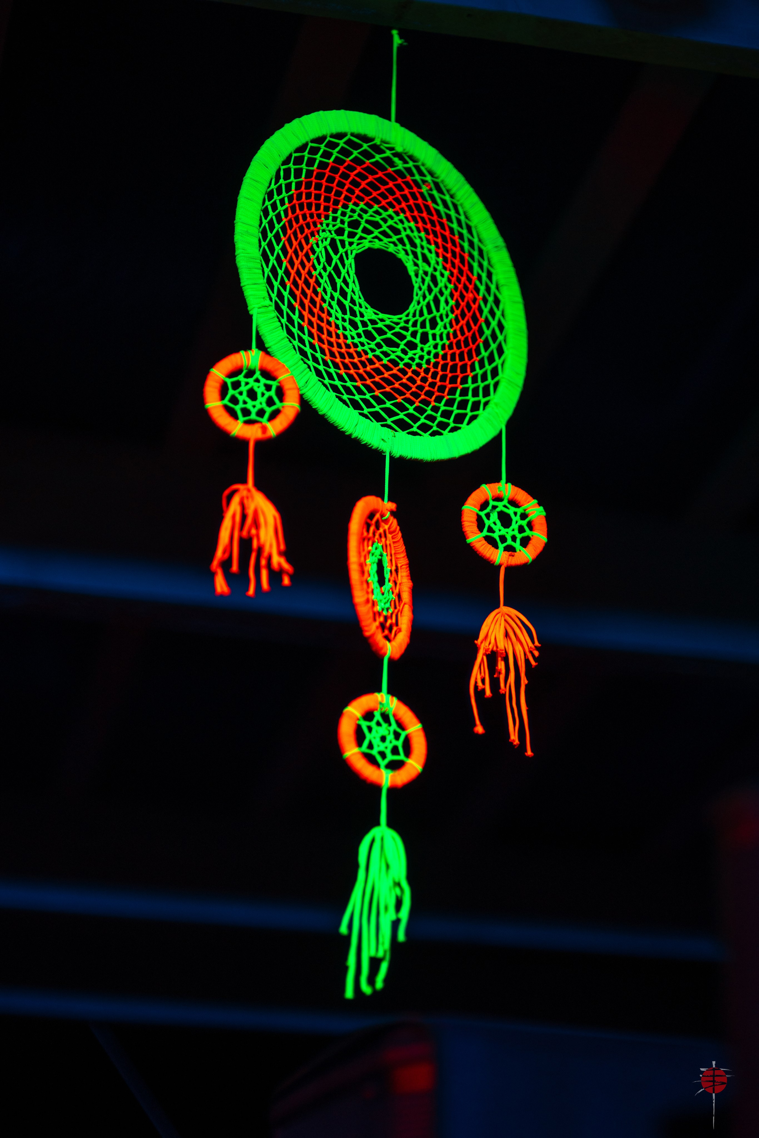 ЦВЕТНЫЕ ФОТОГРАФИИ. Никита Аничкин фото и видео оператор из России