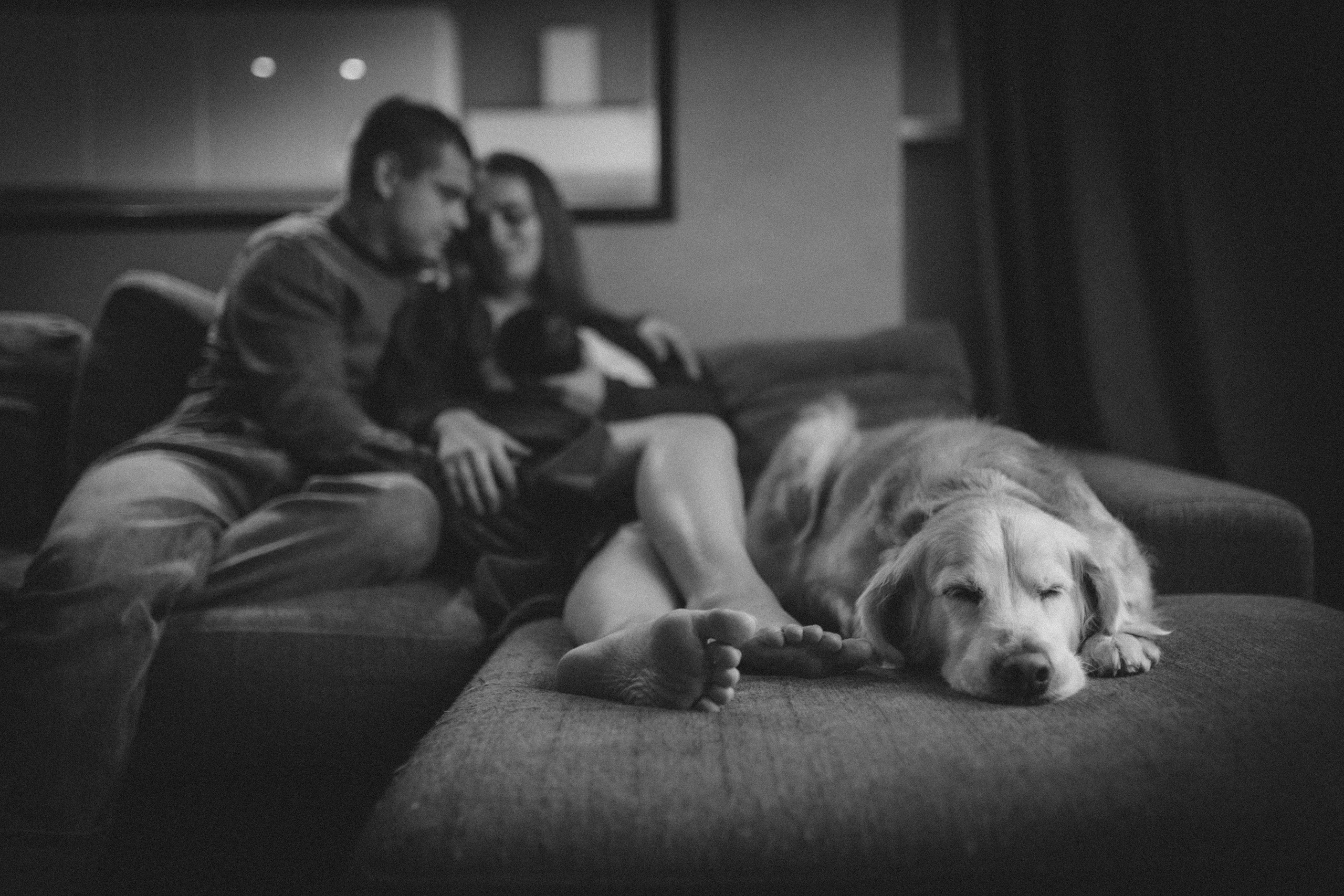 Вика, Вова и Федя. Семейный фотограф и фотограф на роды в Ростове-на-Дону Мухина Виктория