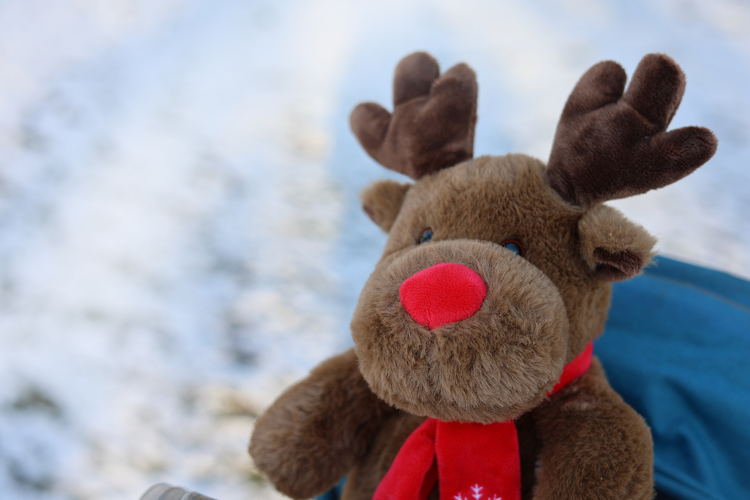 Дарья и Оскар. Семейный и портретный фотограф в Краснодарском крае, Ростовской области и Москве