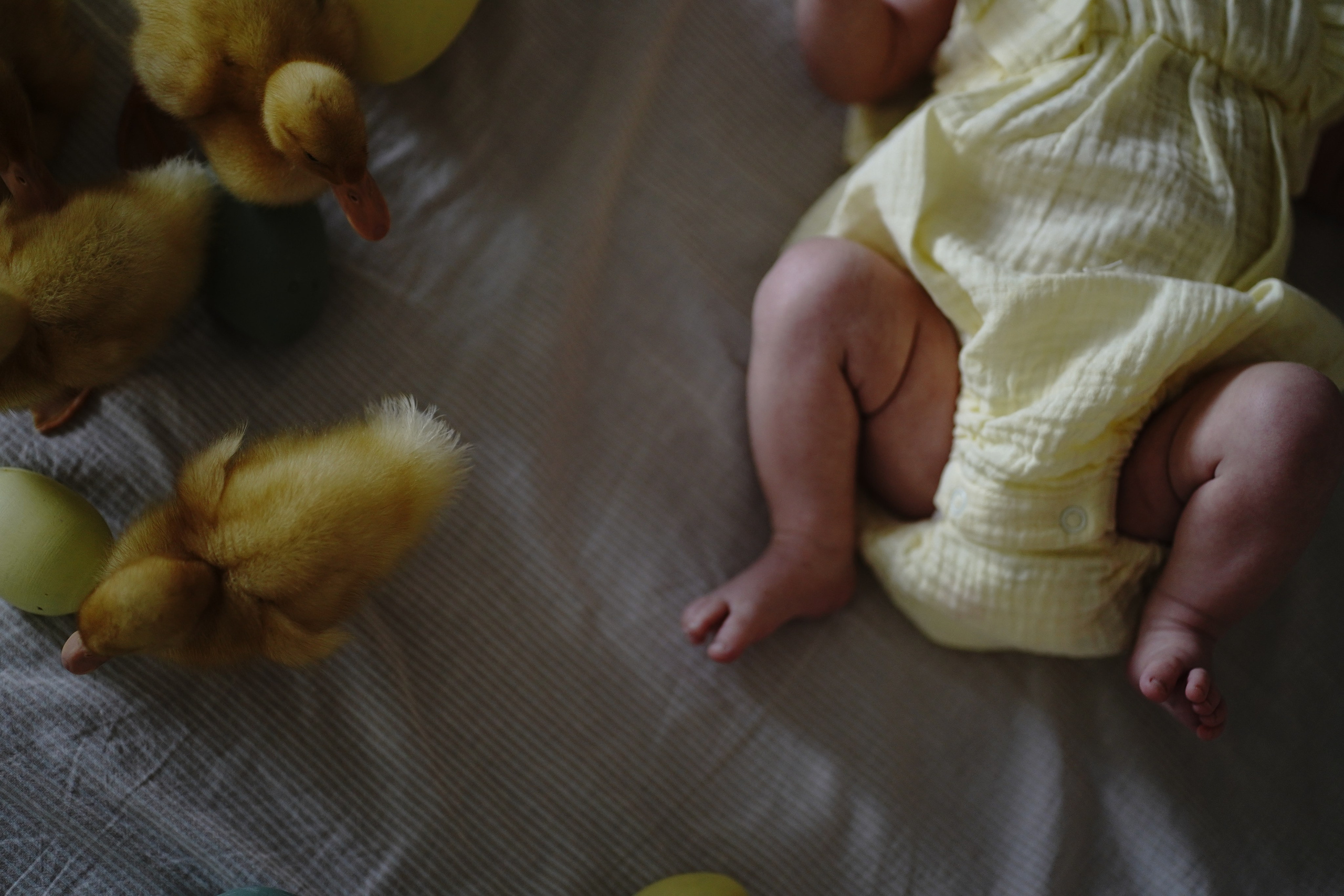 Фотограф в Москве и МО