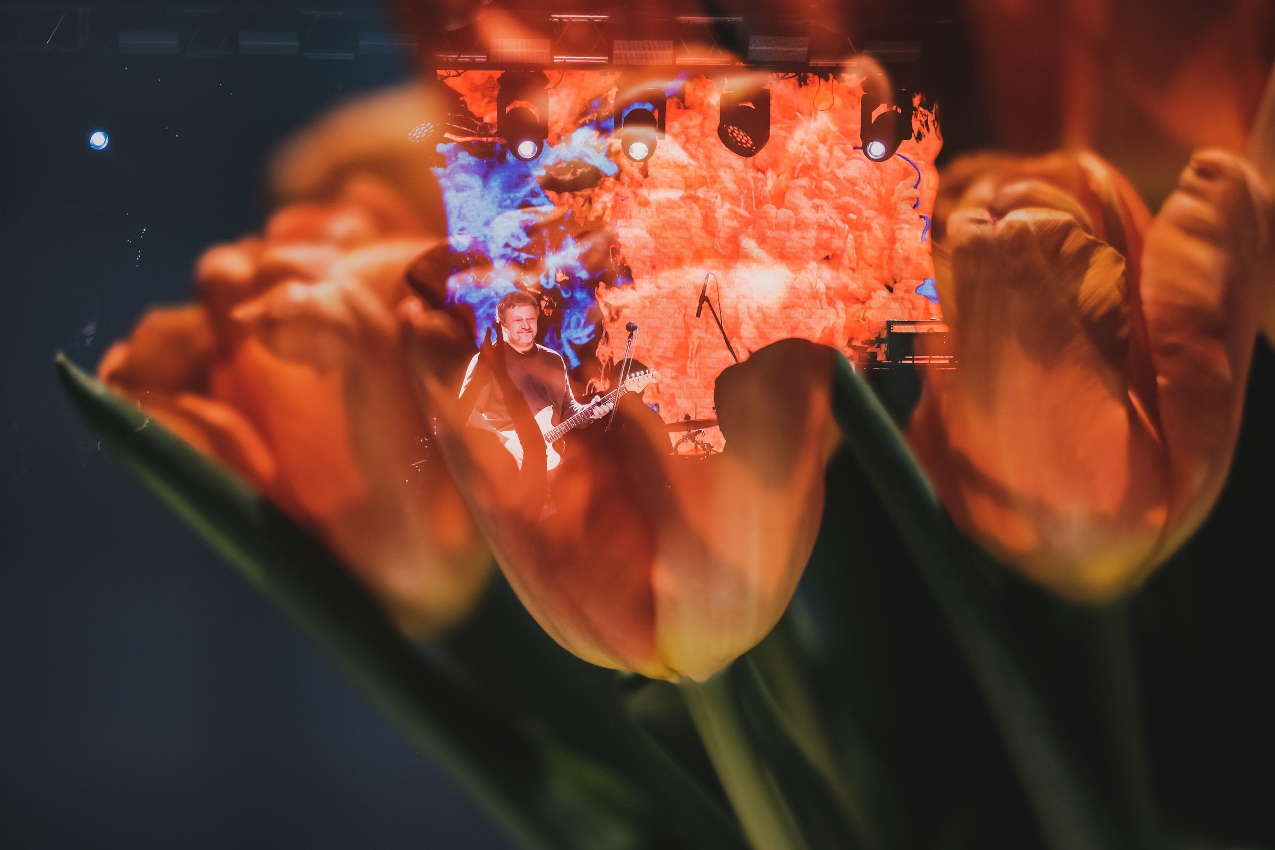 Полюса. Репортажный фотограф Алексей Пирязев