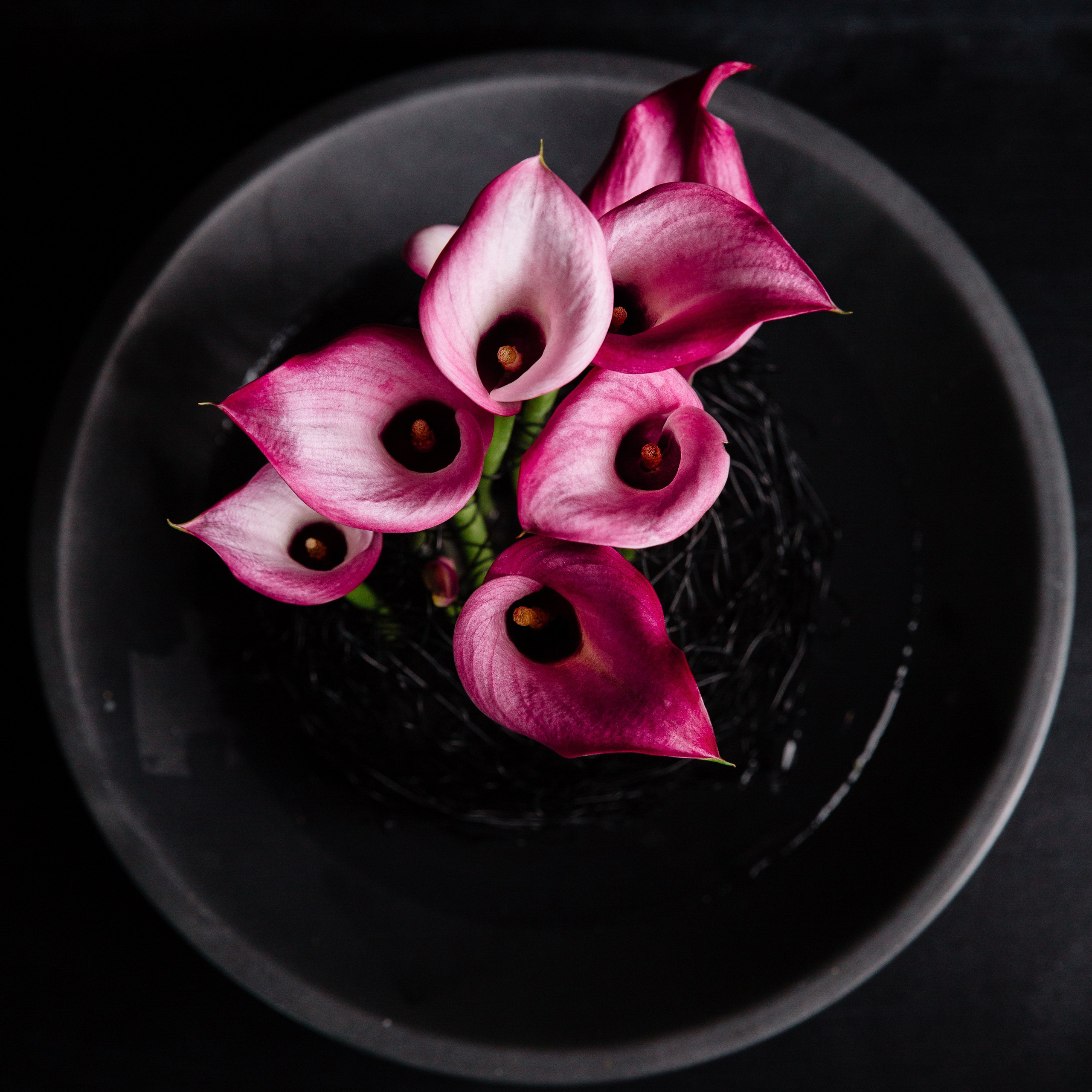 Denis. Lena Sorokina photographer, Astana, Kazakhstan