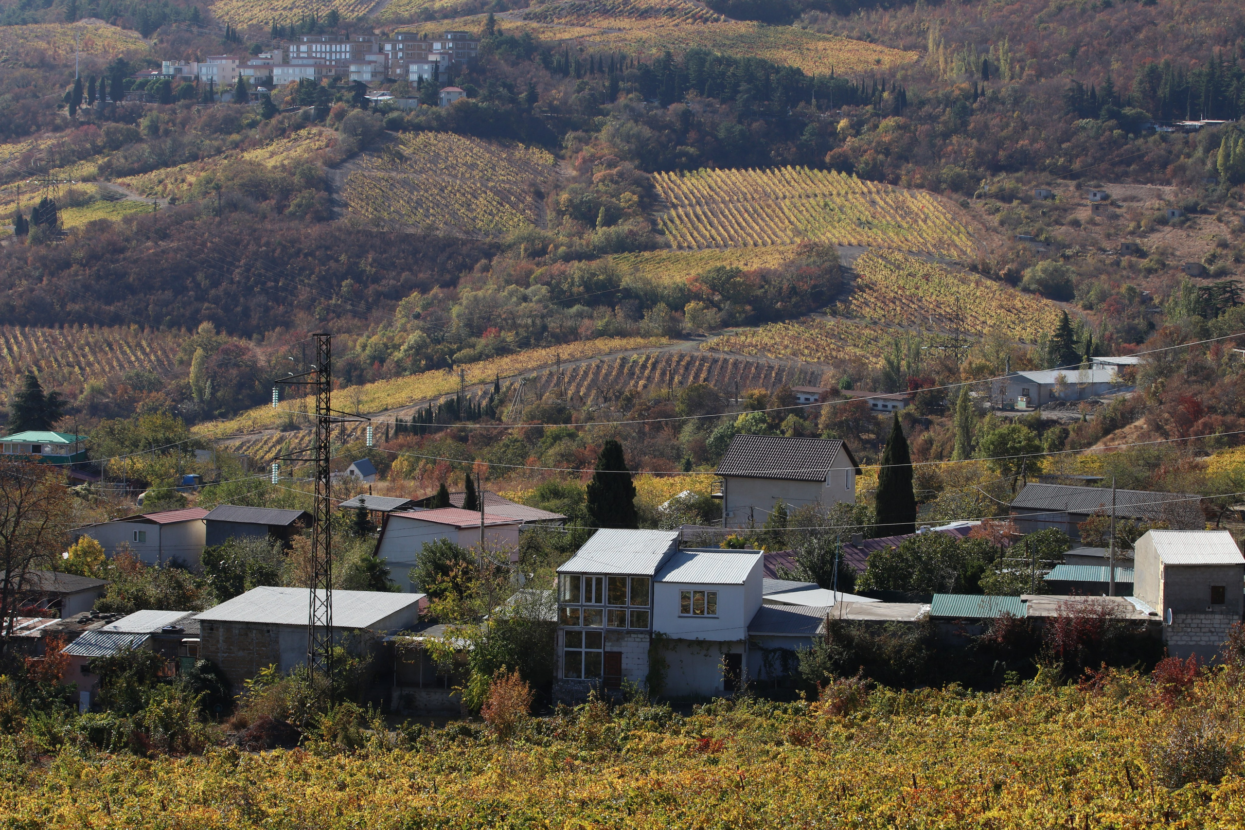 Крым. ЮБК (Гурзуф, Судак и их окрестности). Ноябрь 2023. Путешественник-фотограф из Санкт-Петербурга Татьяна Свистулина