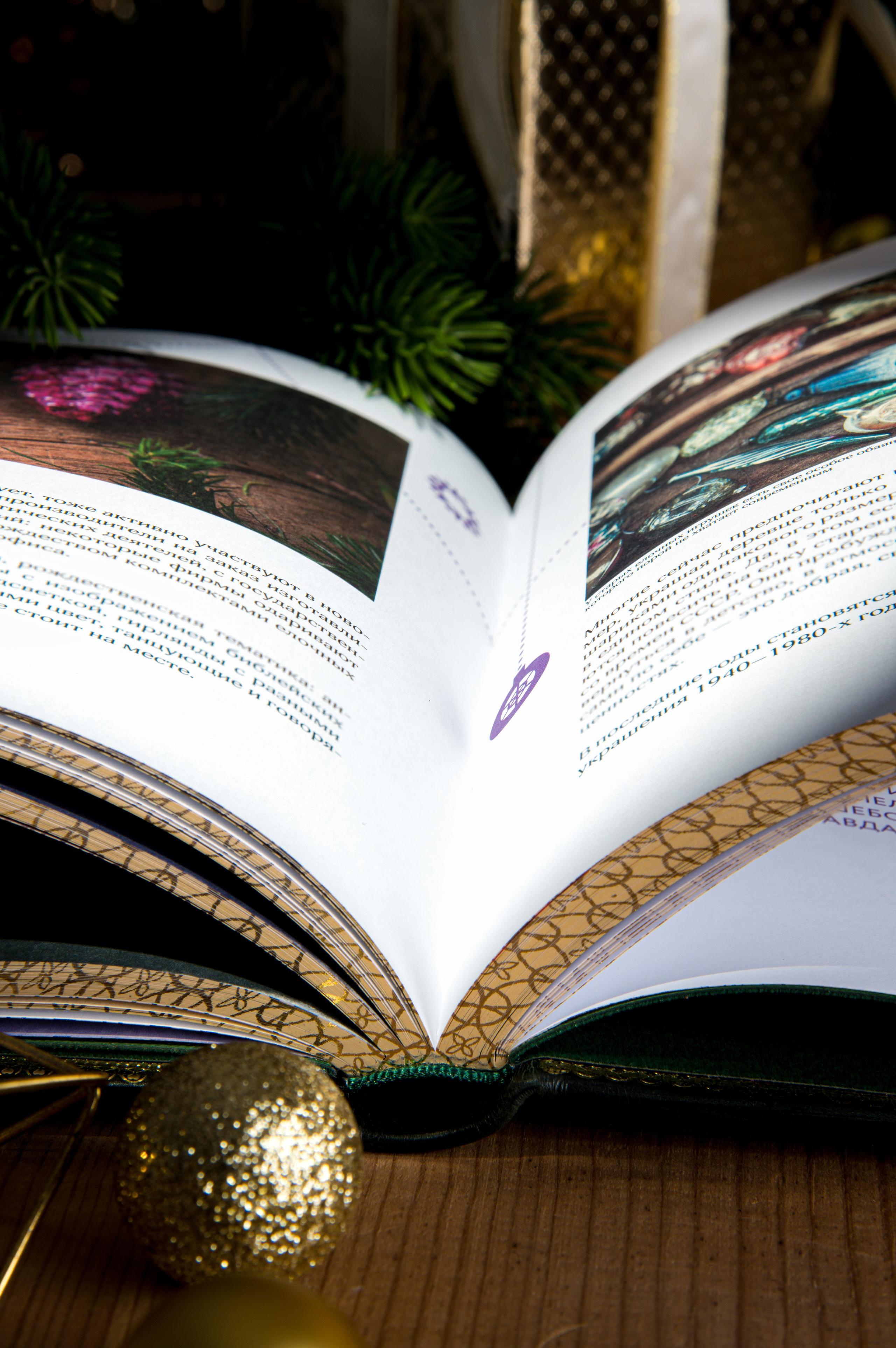 Имиджевая предметная съёмка раскрытой подарочной книги в новогодней композиции.