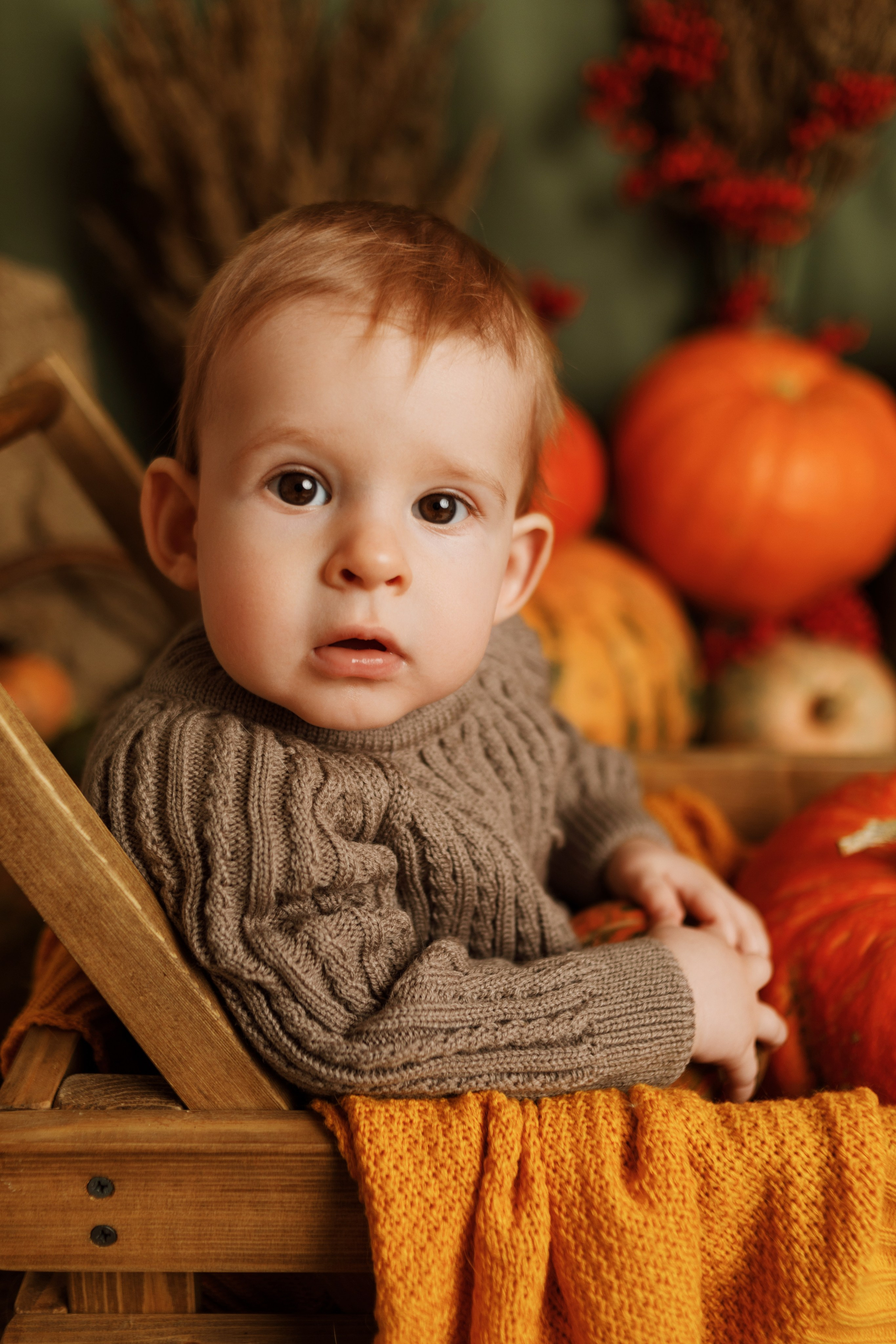 Фотопроекты. Фотограф новорождённых семейный фотограф Томск Елена Каплина