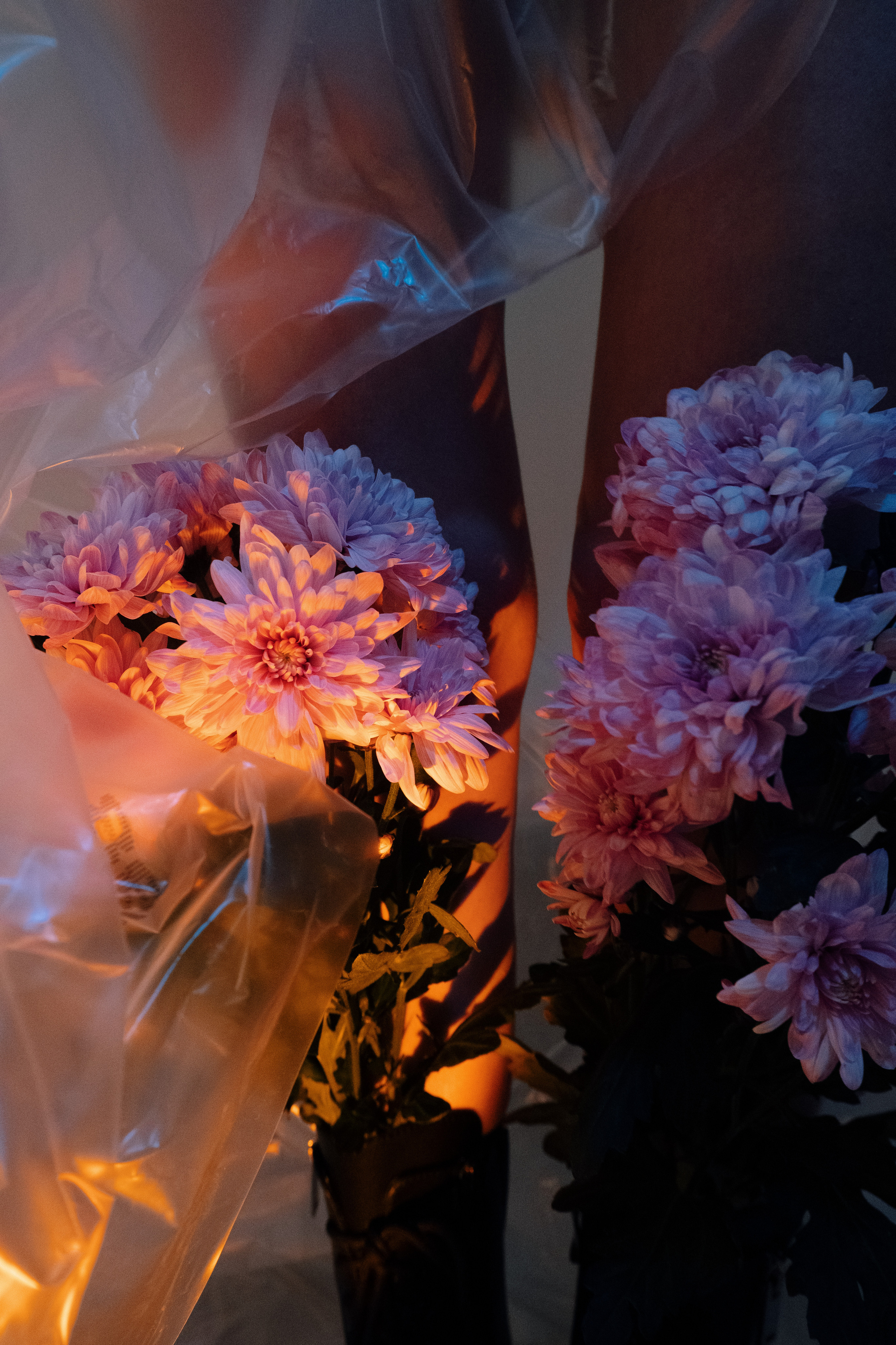 Поют цветы. Фотограф Валуйки, Белгородская область. Коробова Юля