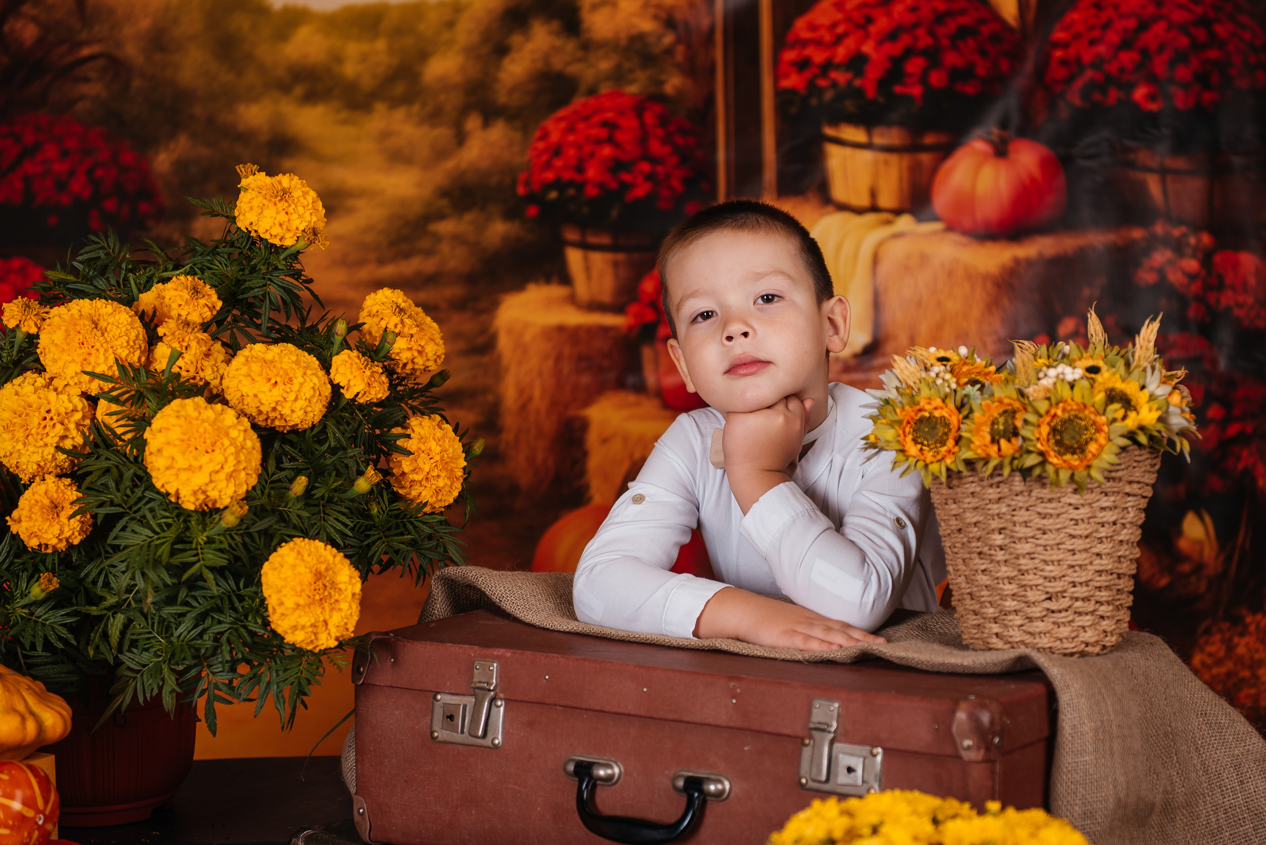 Прекрасная осень!. Фотограф в Республике Мордовия София Сержантова