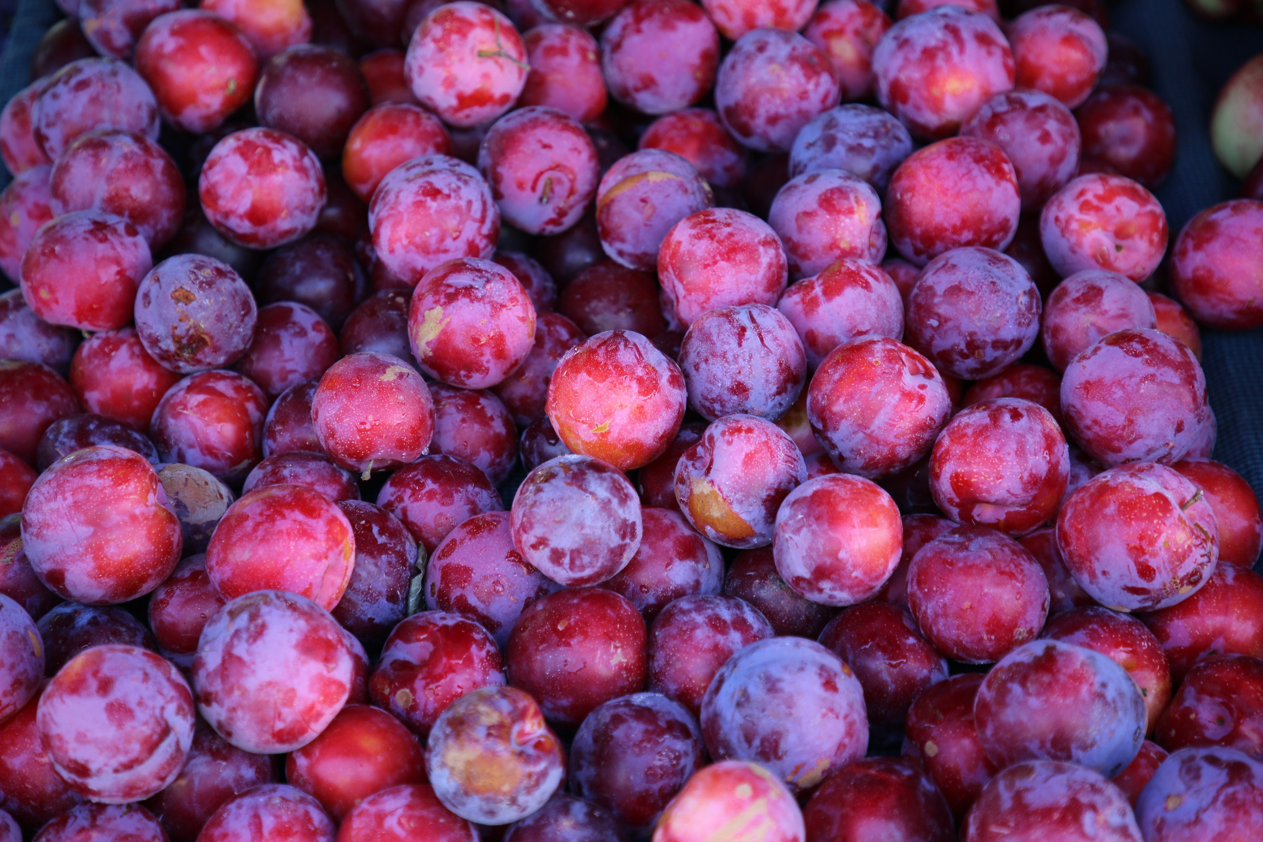 Espihnio, Portugal. Andrey Filippov Photographer