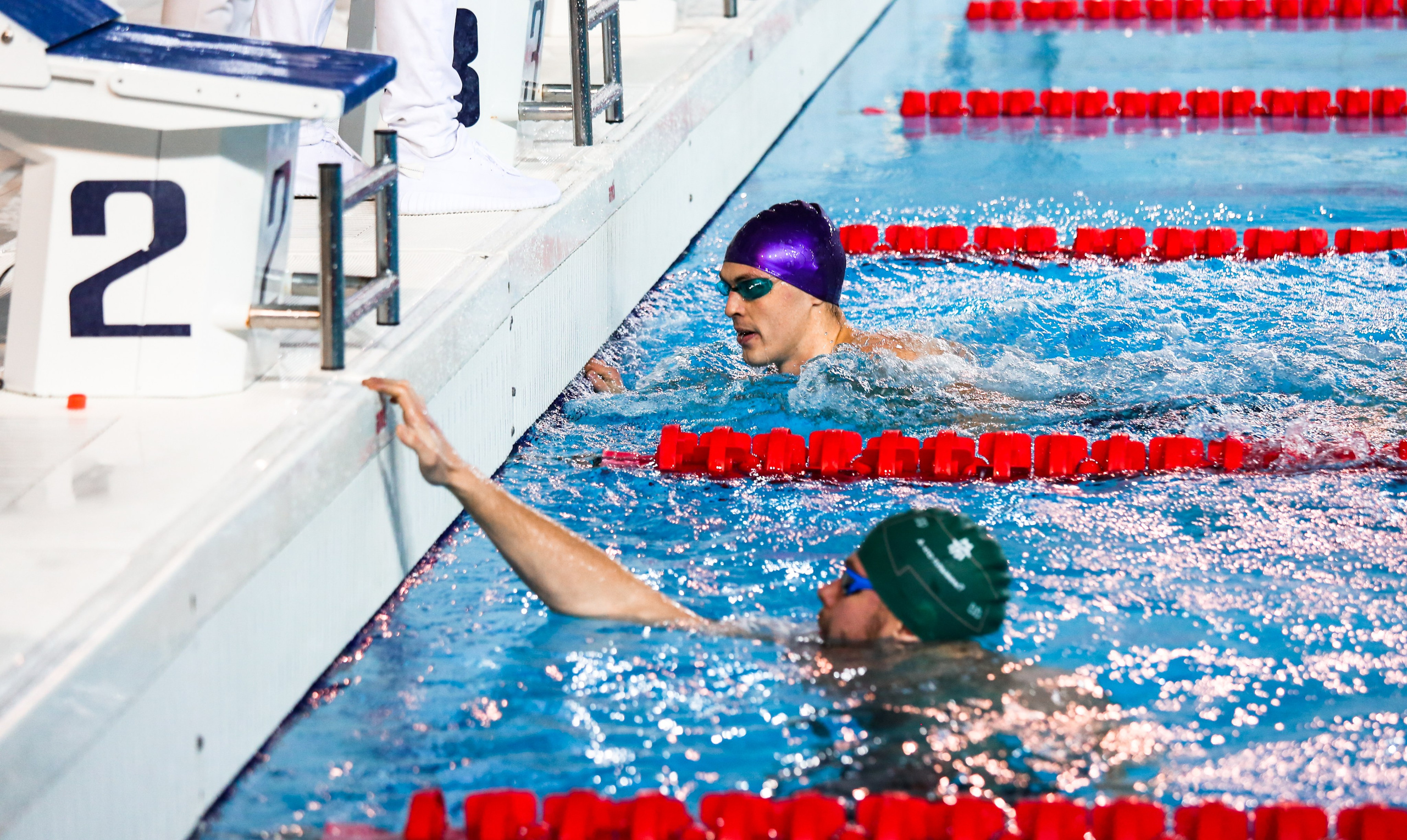 Соревнования по плаванию. Репортажный, семейный, свадебный, портретный фотограф