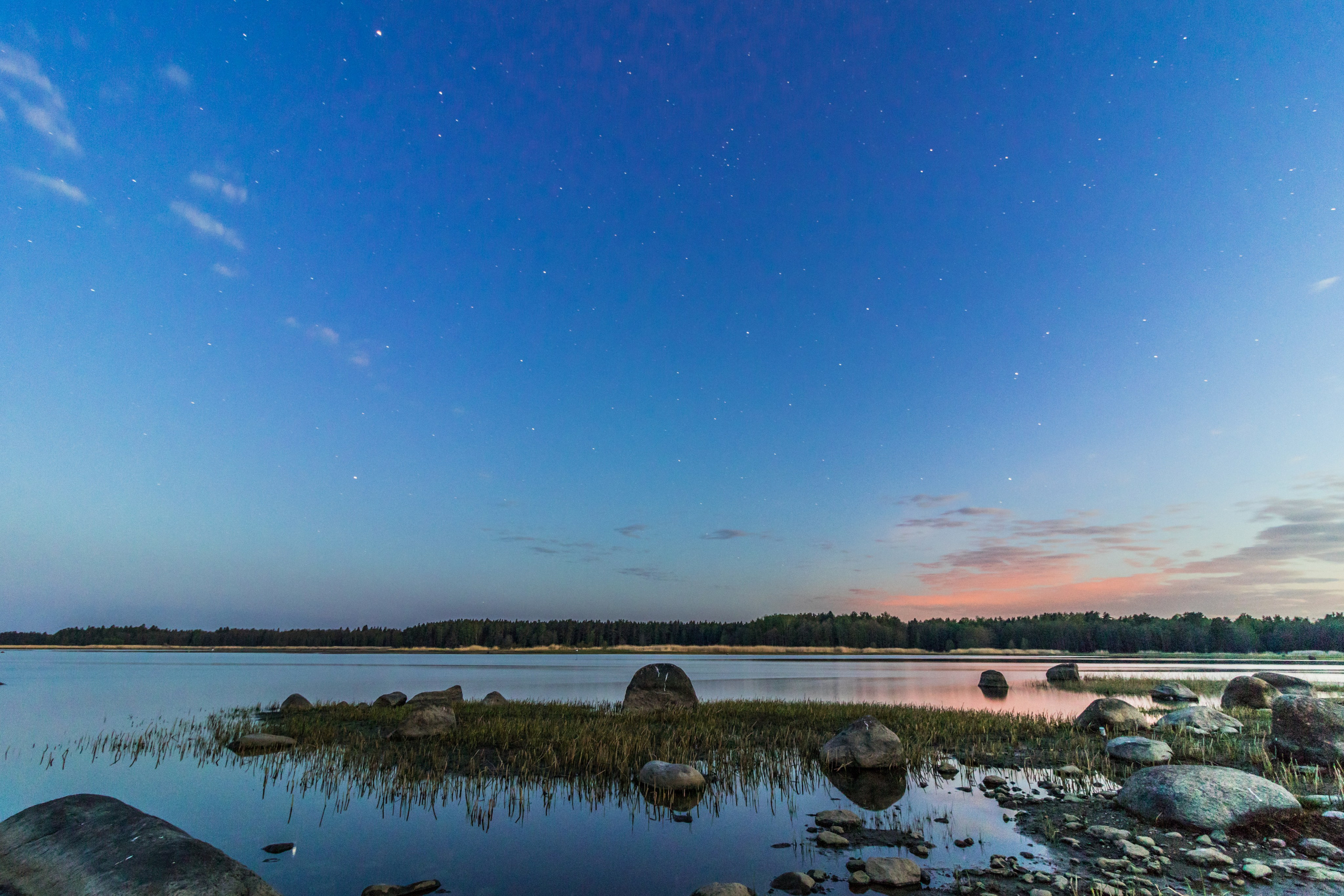 На досуге. Фотограф в Вязьме