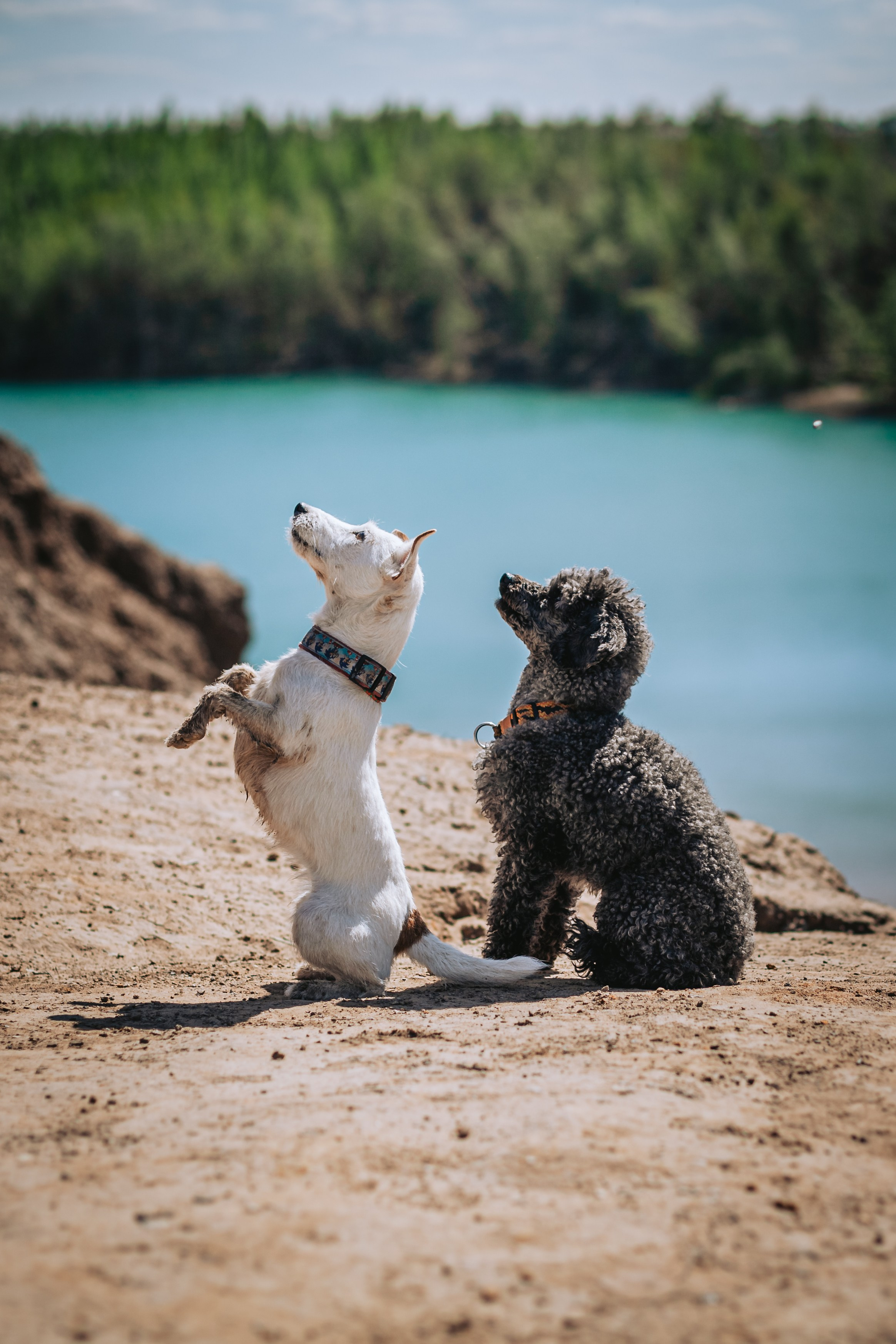 Кондуки. Фотограф-анималист Татьяна Степанова