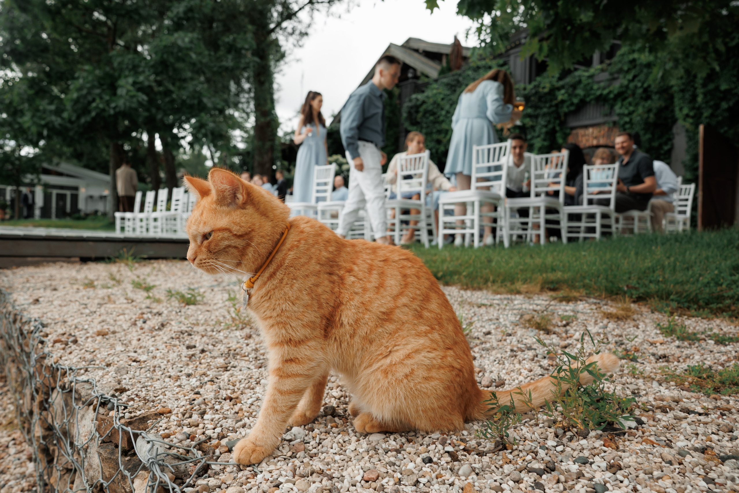 Свадебная фотосессия в отеле Сенешаль. Свадебный и репортажный фотограф (Москва, Королев и другие)