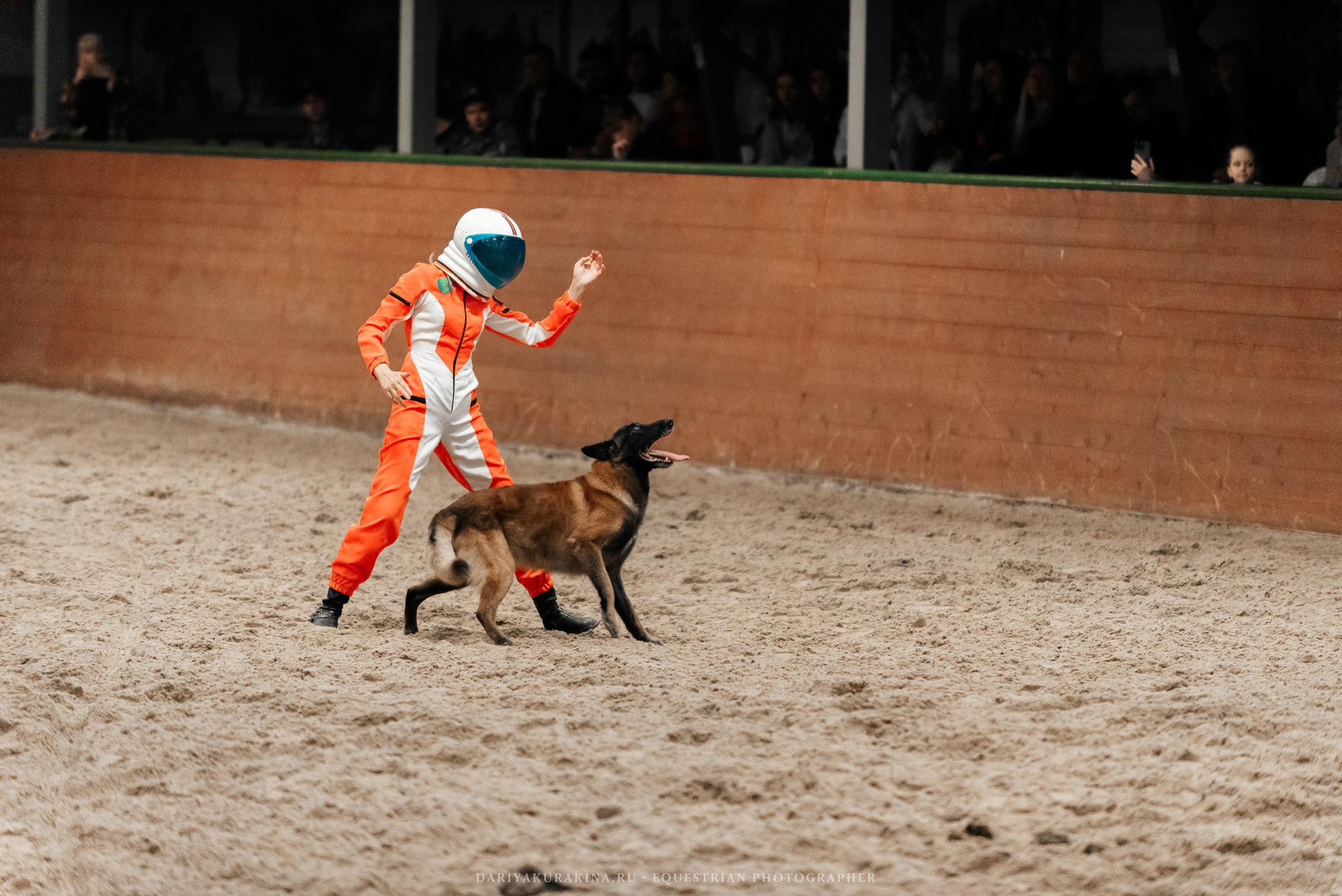 Конное представление «Дыхание Звёзд». Конный фотограф Куракина Дарья • Фотосессии с лошадьми