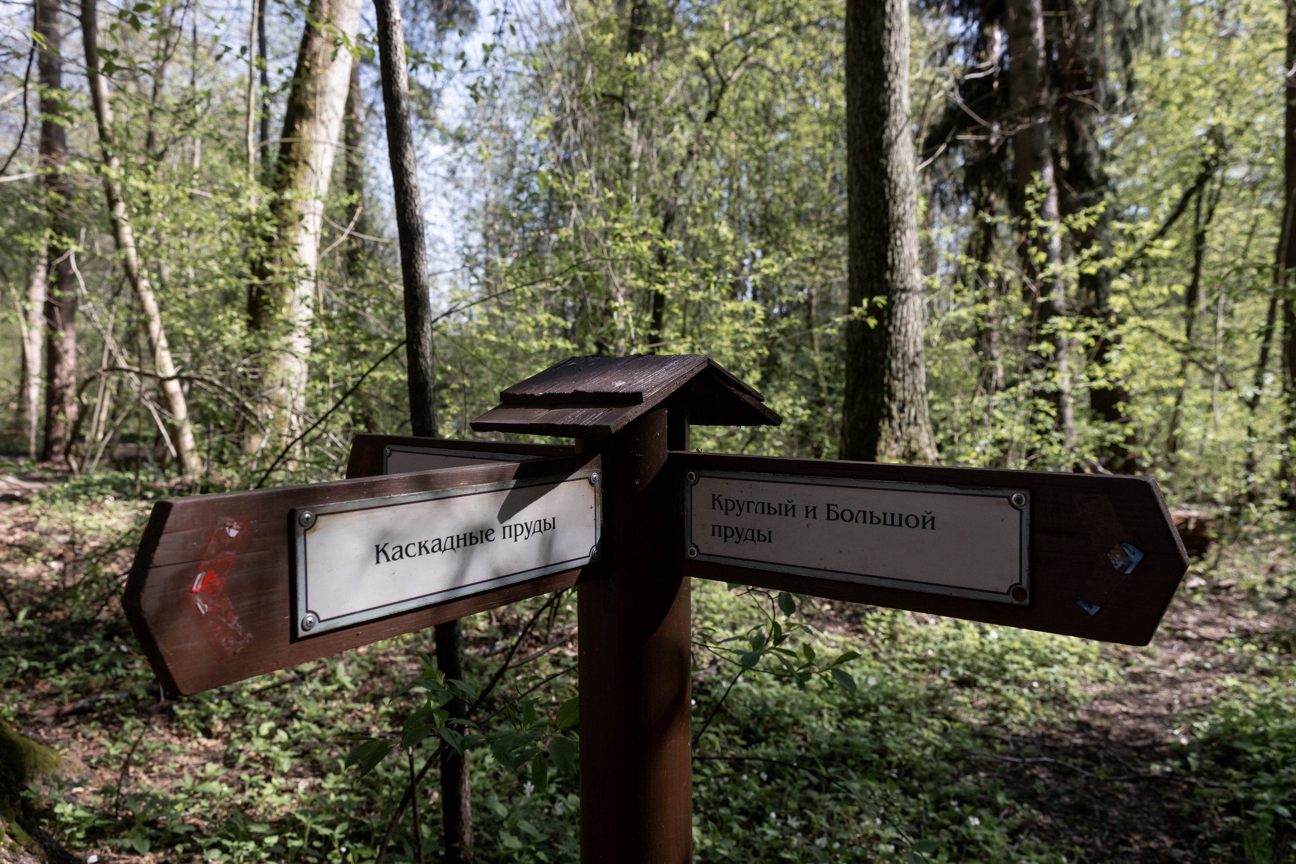 На часах 00. Свадебный фотограф Юлия Шторм