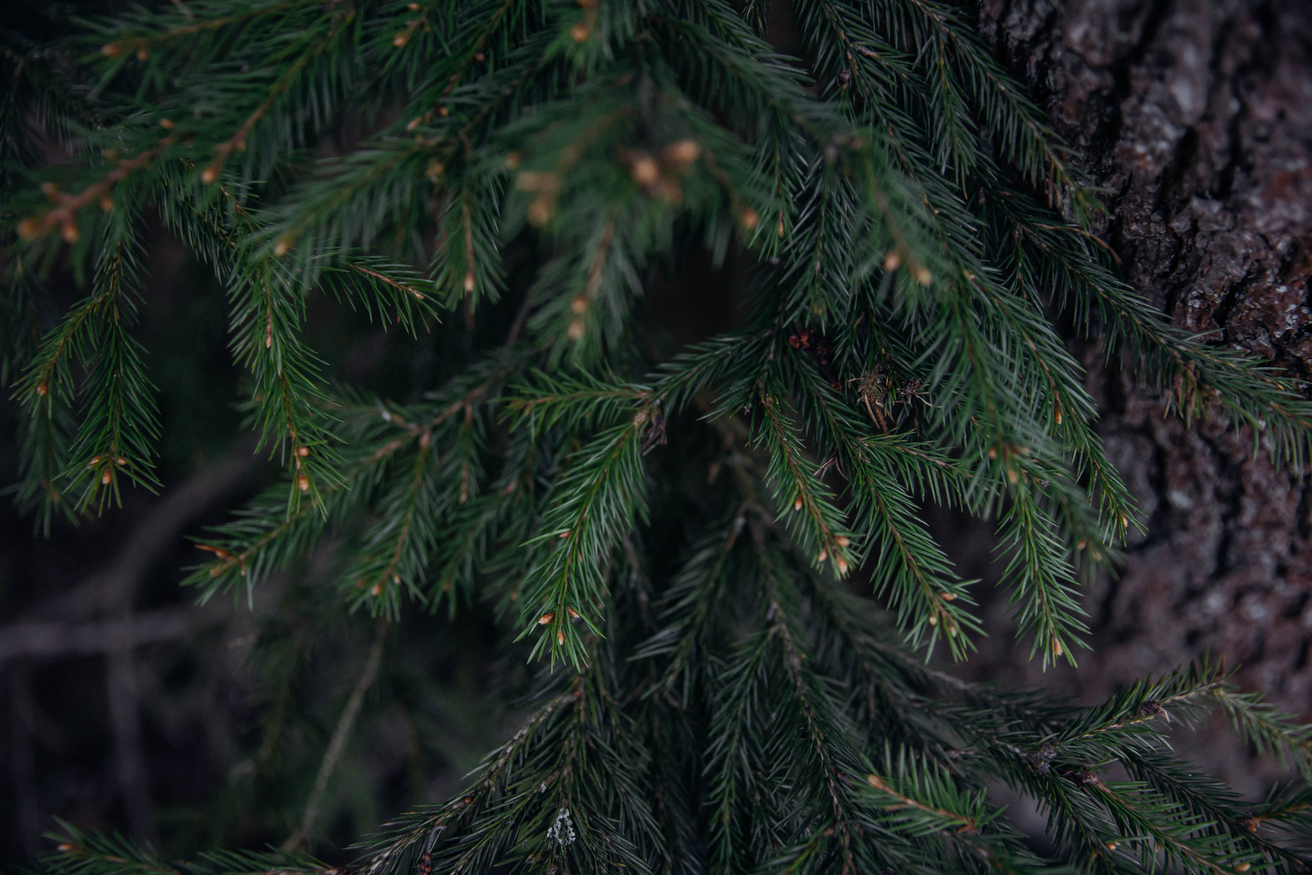 На часах 00. Свадебный фотограф Юлия Шторм