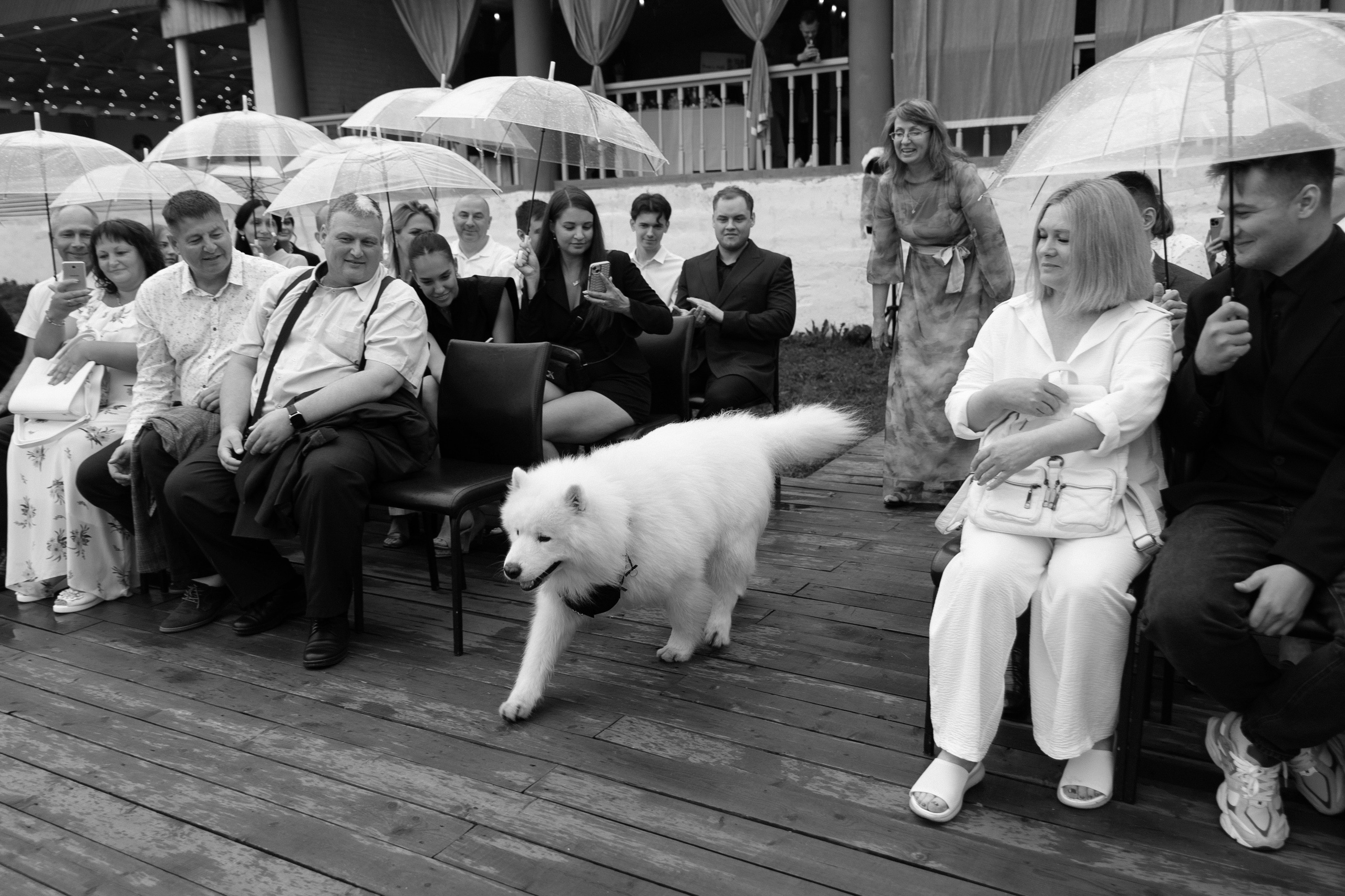 Wedding. Главная