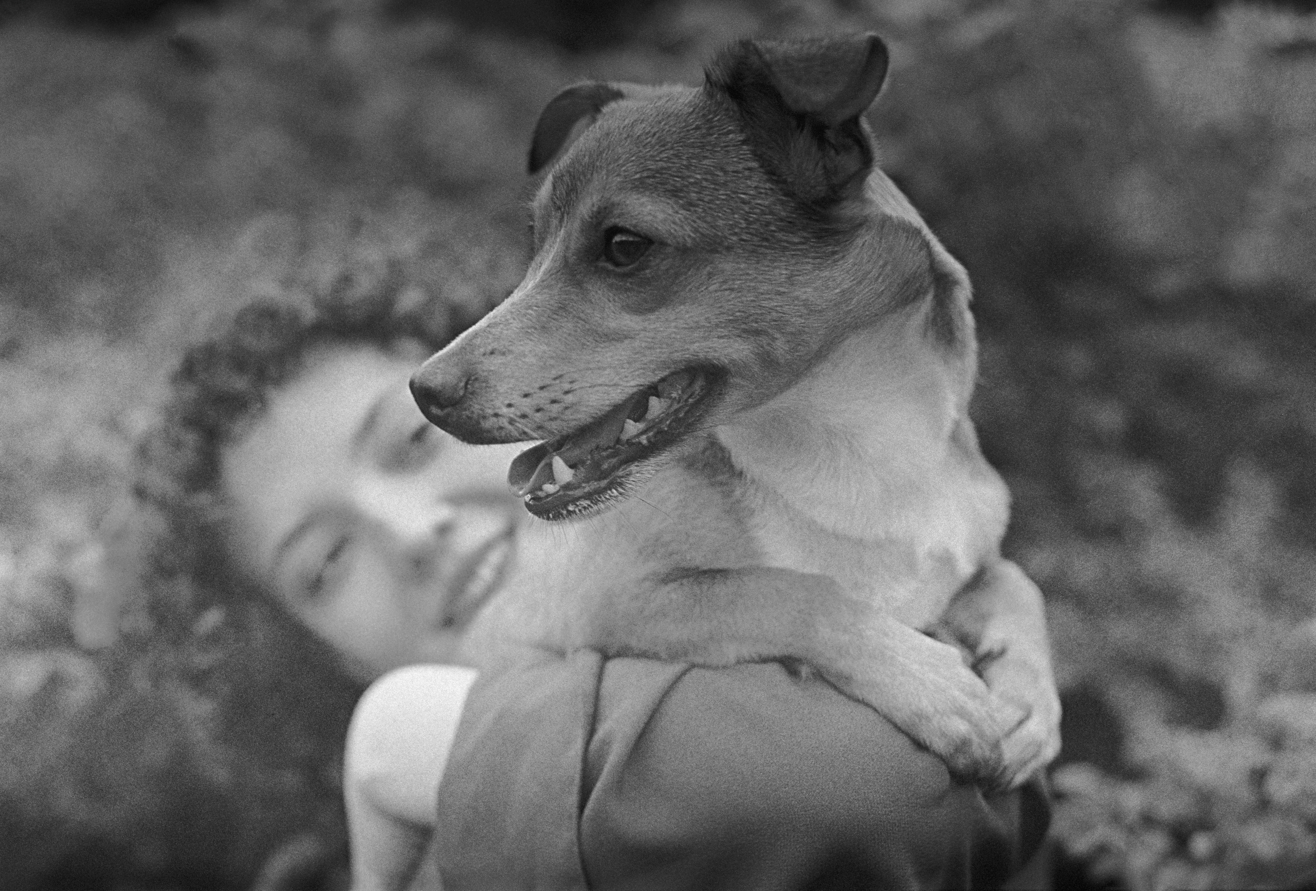 N&F. Стилист и плёночный фотограф Анастасия Шлокова в Санкт-Петербурге и Москве