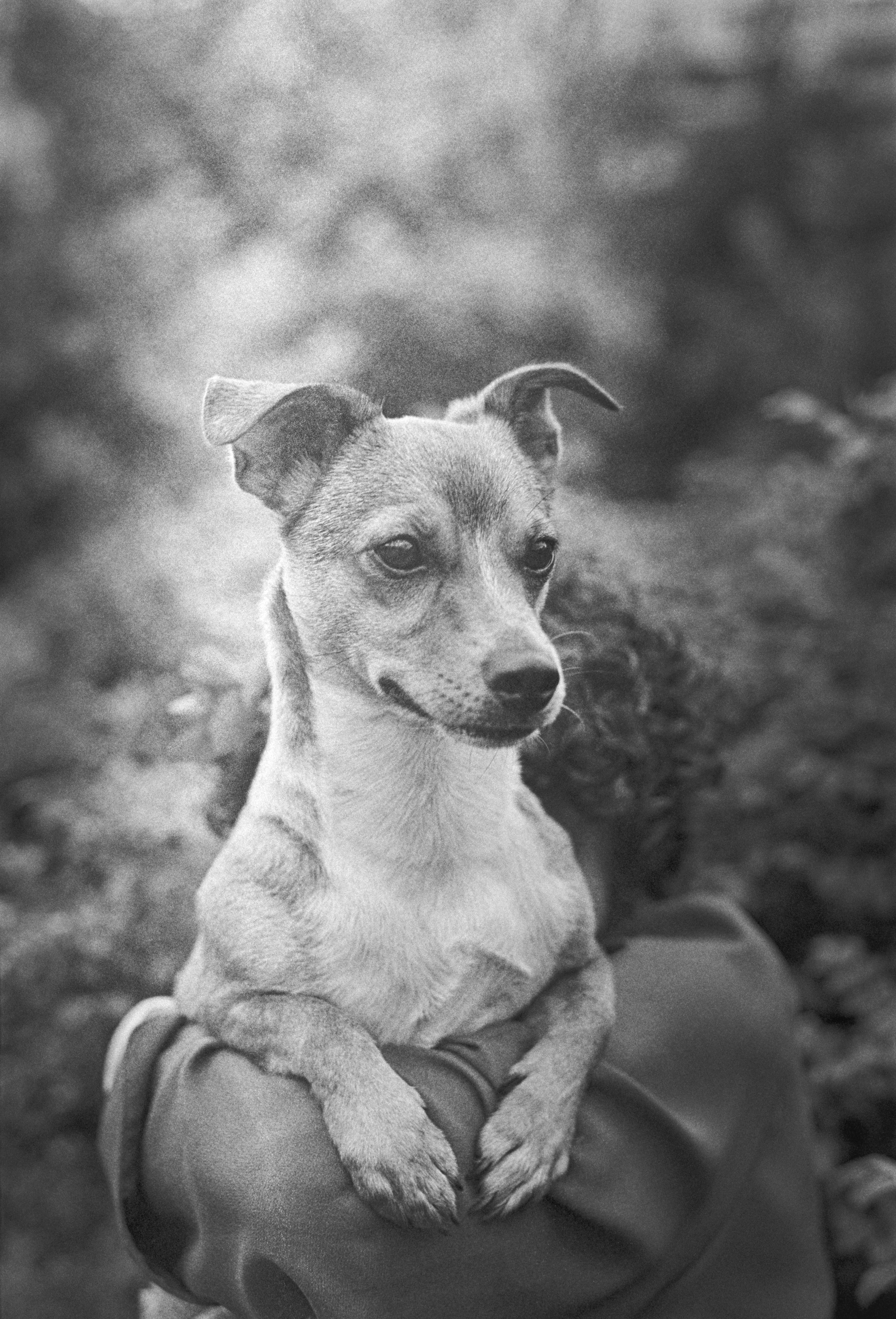 N&F. Стилист и плёночный фотограф Анастасия Шлокова в Санкт-Петербурге и Москве