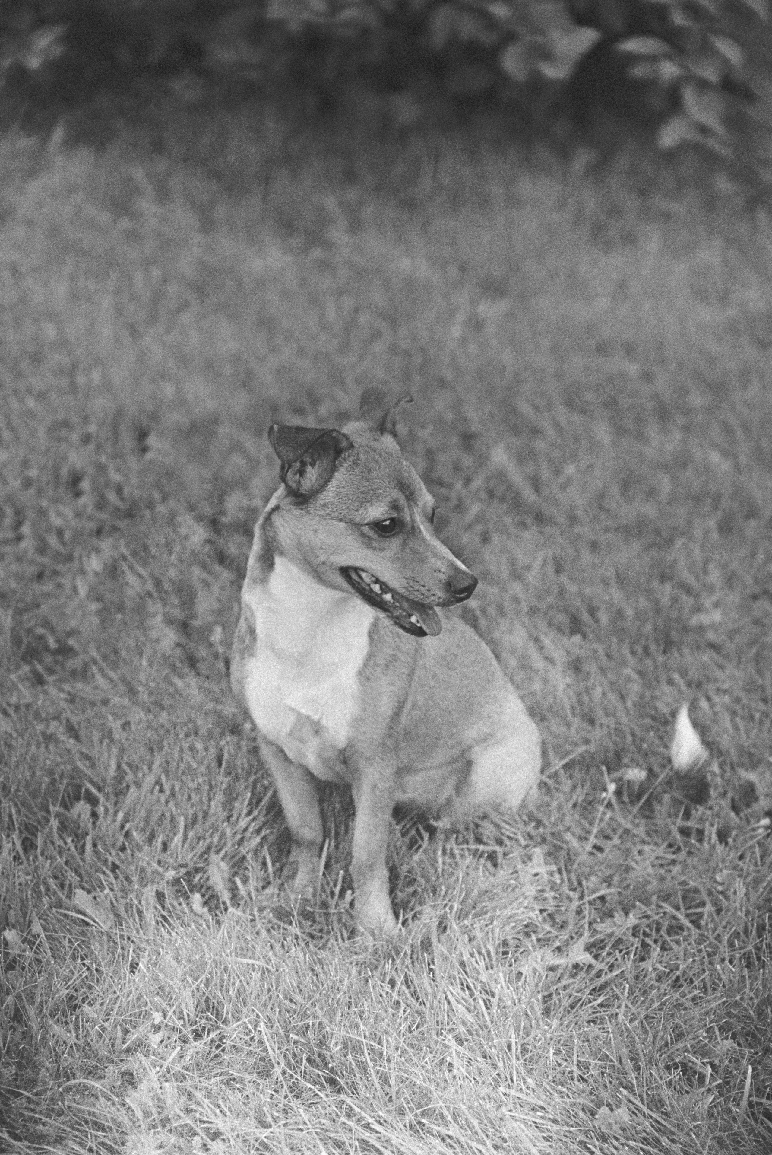 N&F. Стилист и плёночный фотограф Анастасия Шлокова в Санкт-Петербурге и Москве