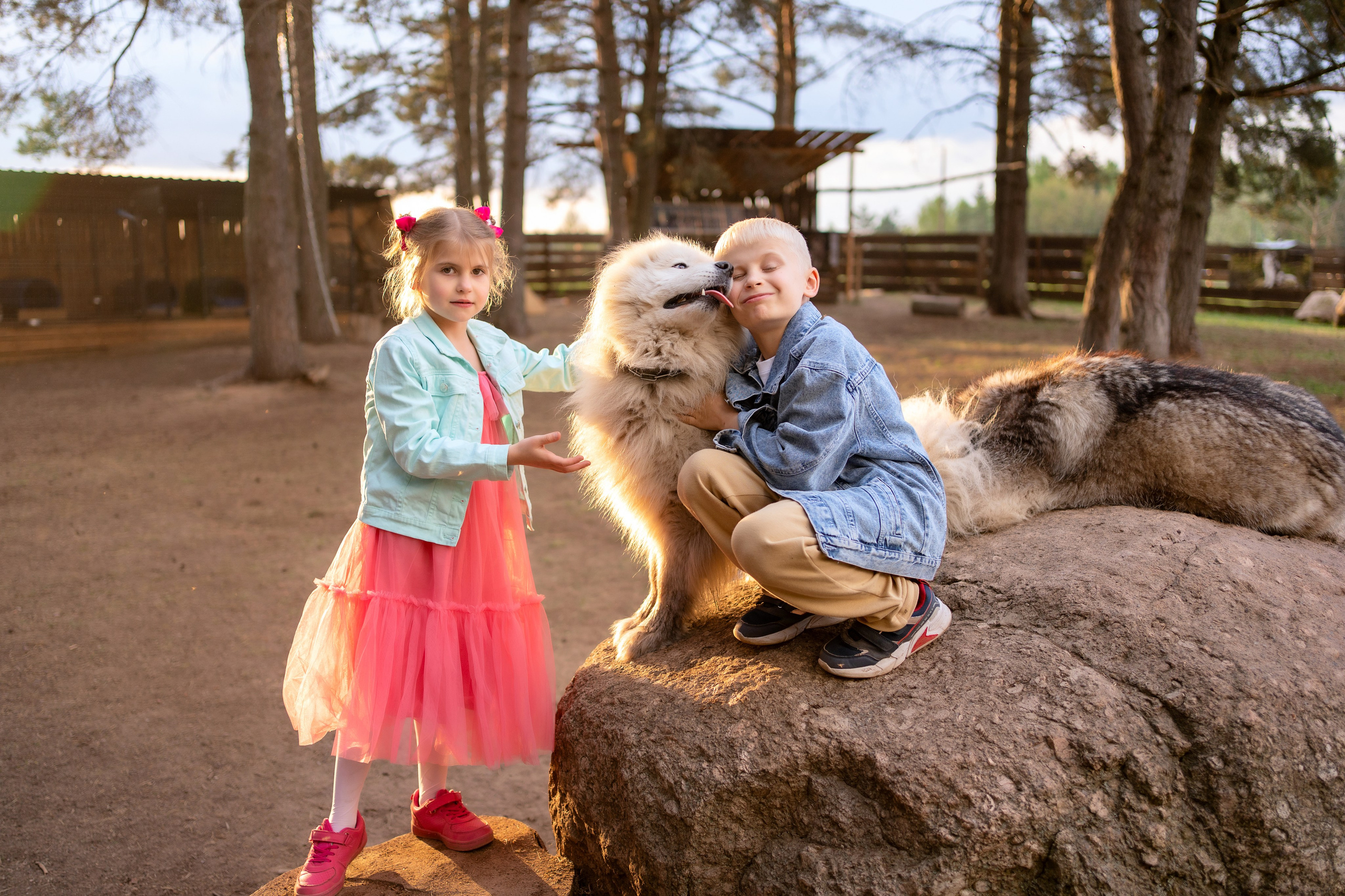 Хаски парк. Семейный и свадебный фотограф Минск, Беларусь Анна Орловская