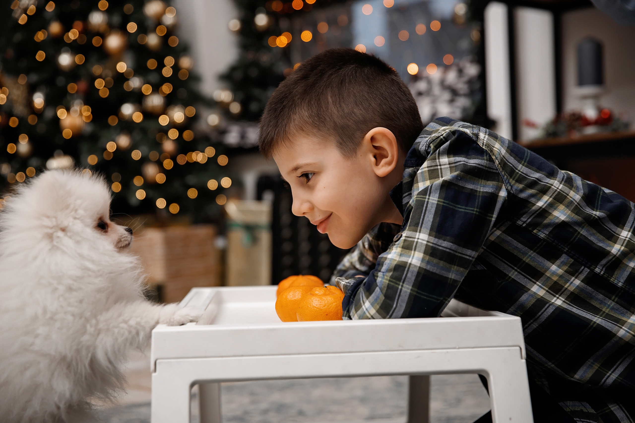 Новый Год 25/26. Цены и условия на съемки. Event