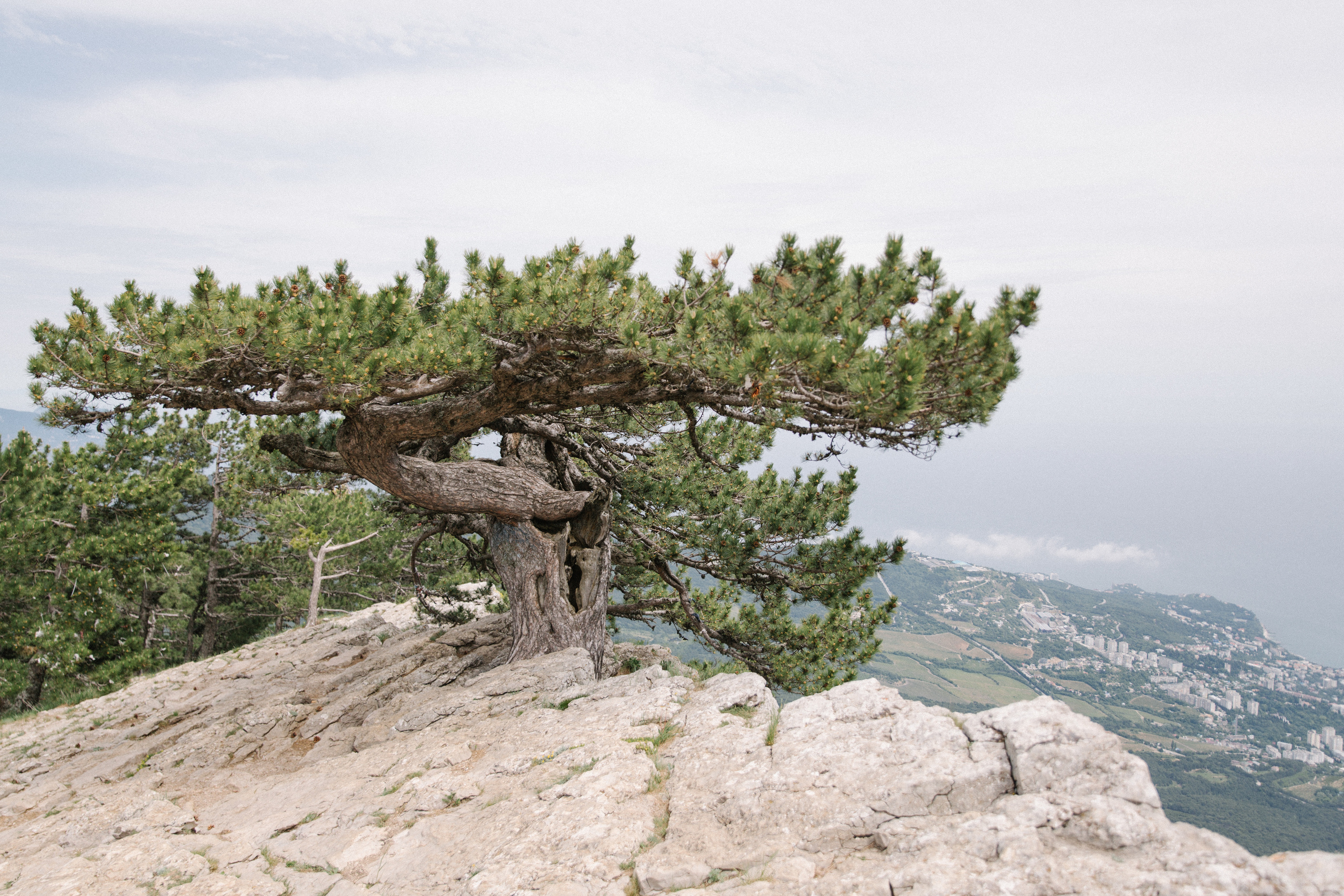 НИКИТА & СВЕТЛАНА (Крым, Ай-петри). Фотограф в Сочи, Санкт-Петербурге, Москве, Италии, Франции, Черног