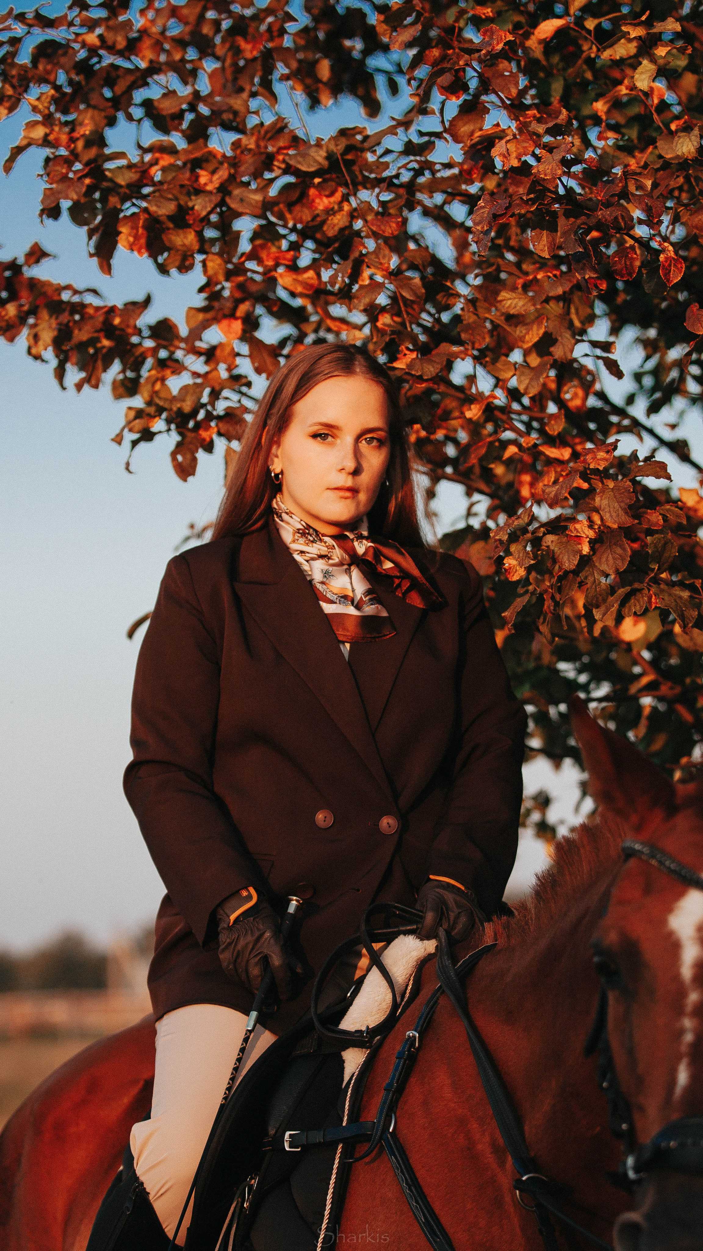 Аня и Гас. Главная